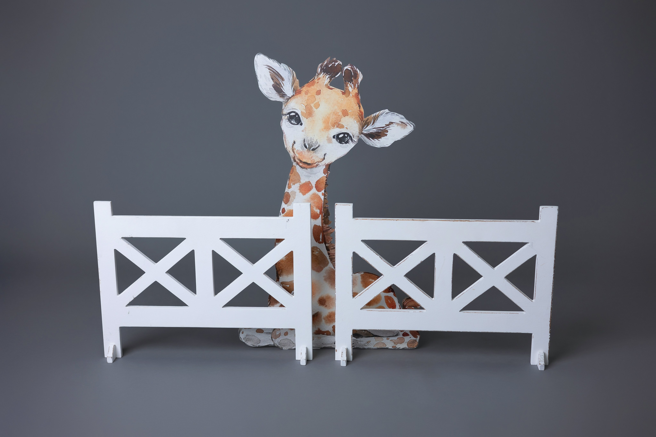 Реквизит студии