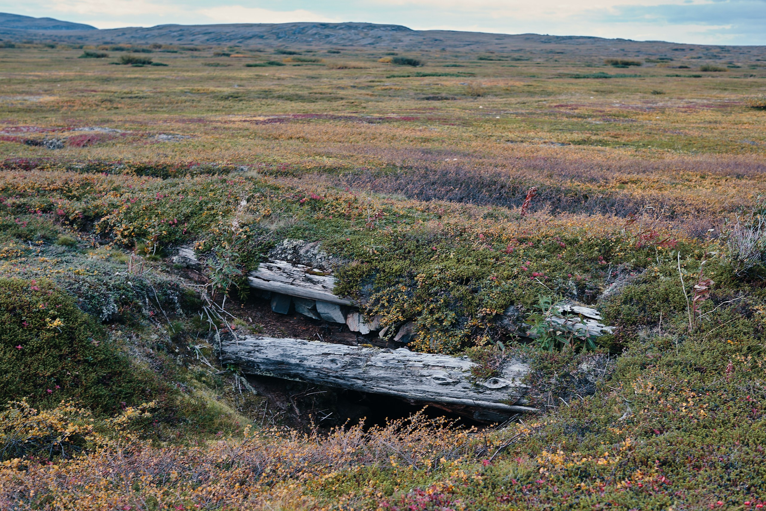 Рыбачий 2023. Место силы. Фотограф Валерий Сабрам