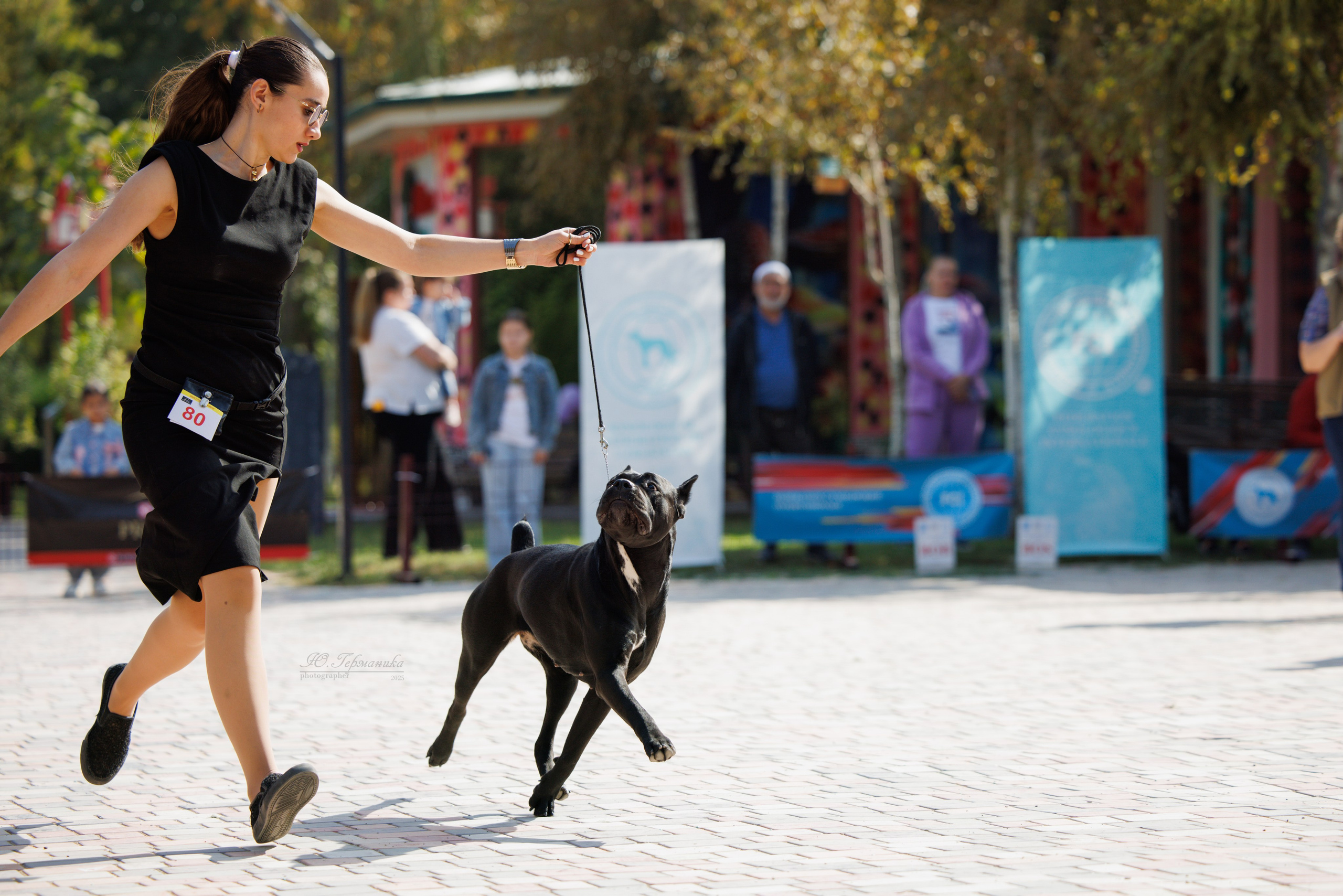 Ташкент 3хCACIB 3-5.10.2025. Фотограф-анималист Юлия Германика