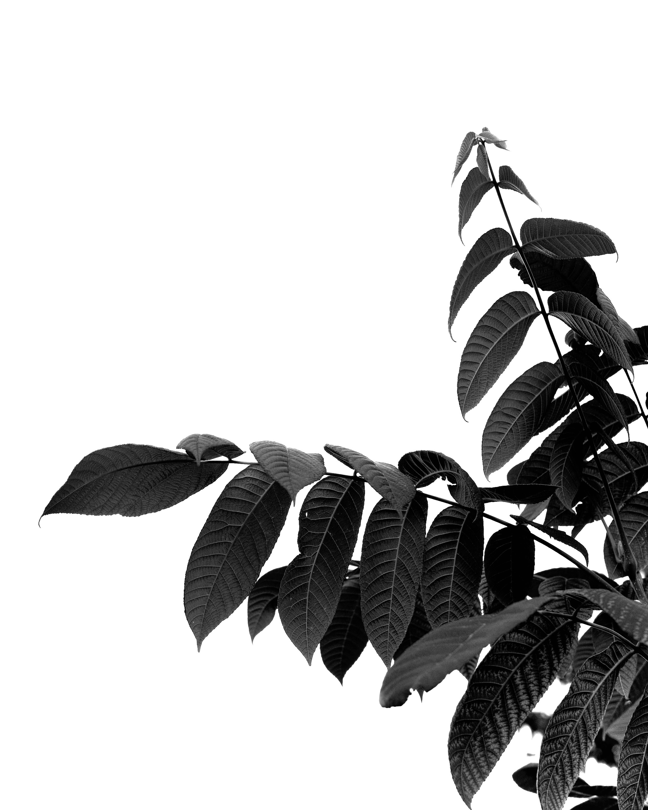 Природа. Фотограф Маргана Лоция