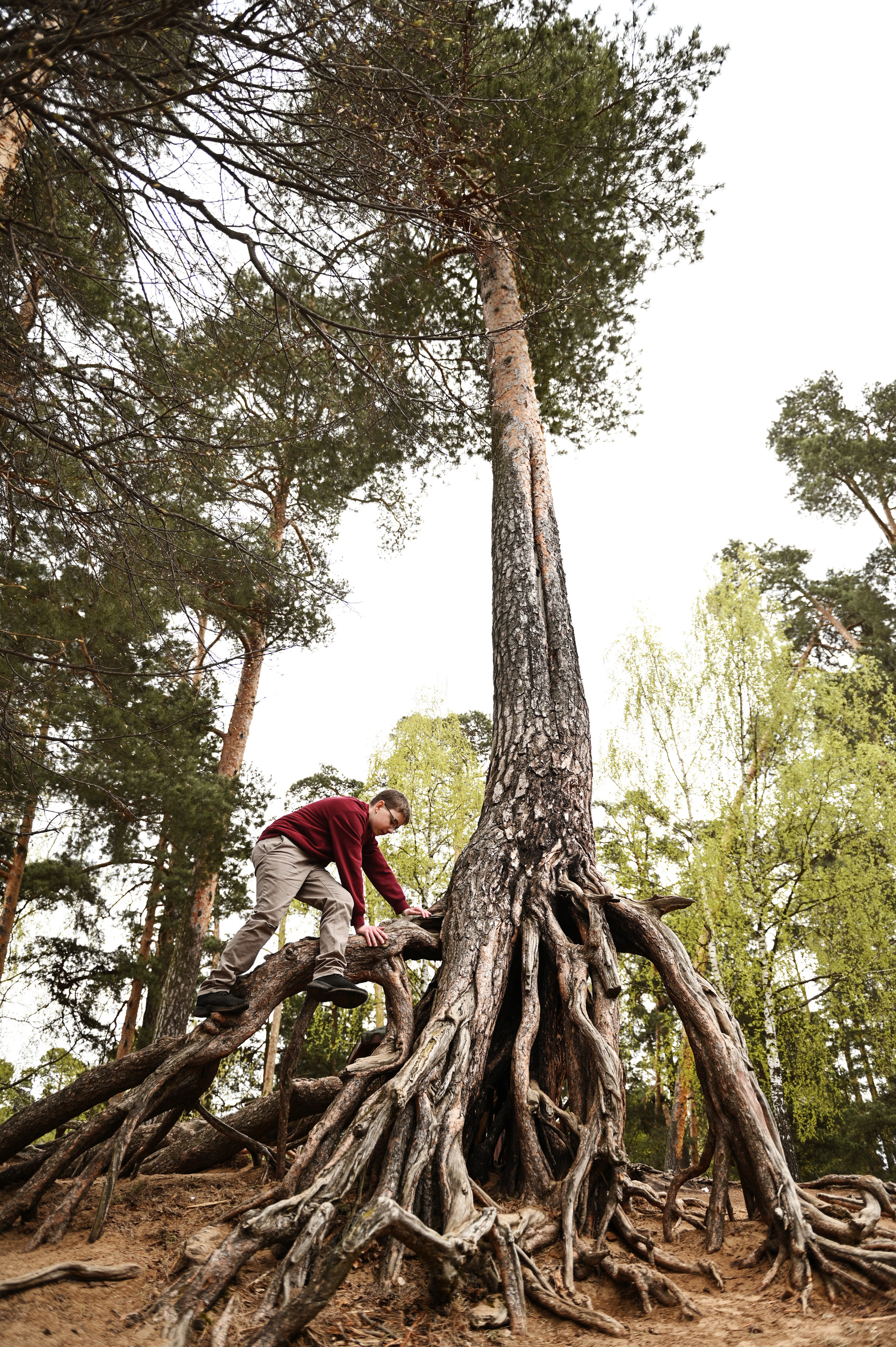 Фотосессия в корнях. Детский и семейный фотограф в Москве Ульяна Федорова