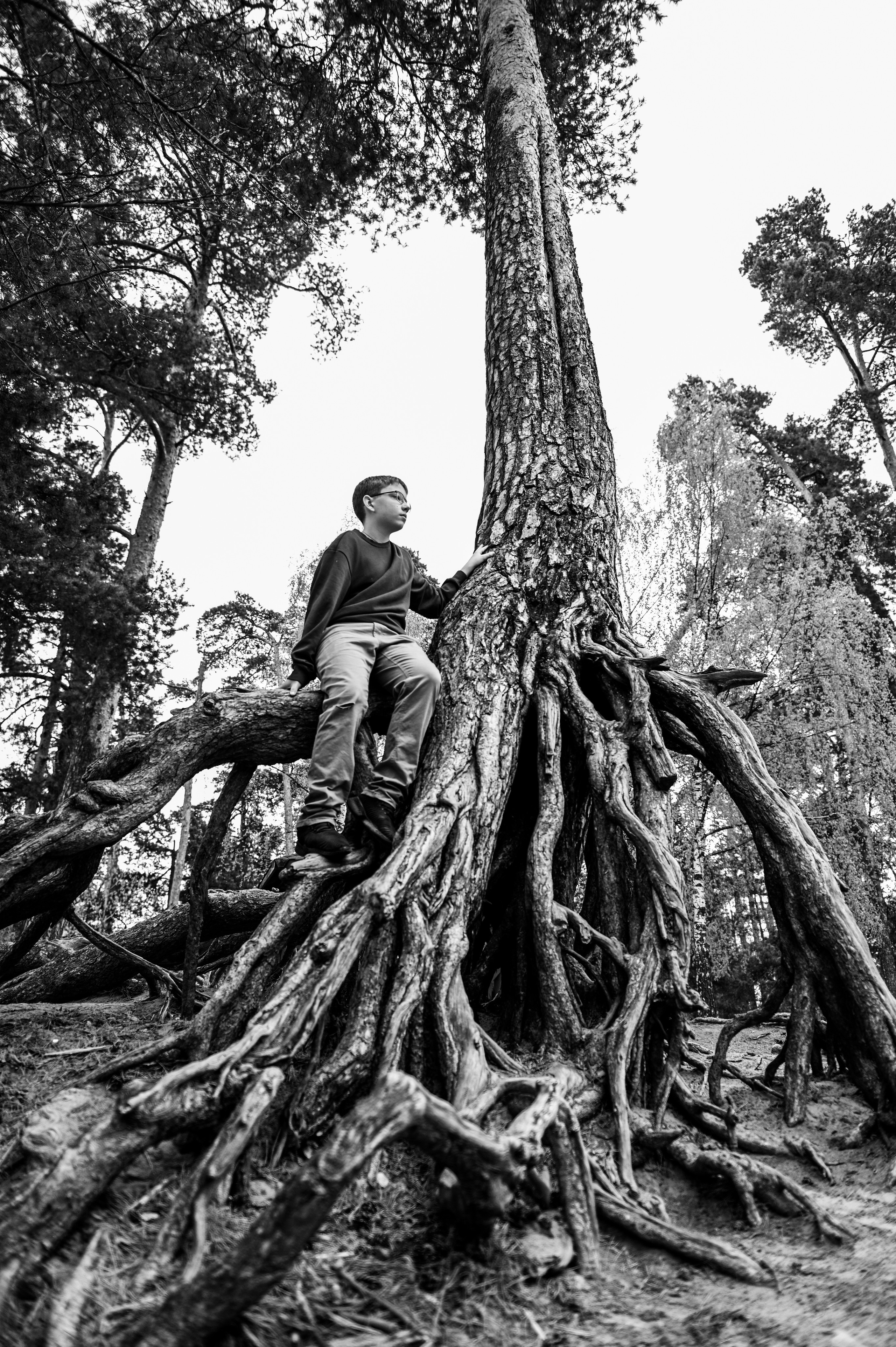 Фотосессия в корнях. Детский и семейный фотограф в Москве Ульяна Федорова