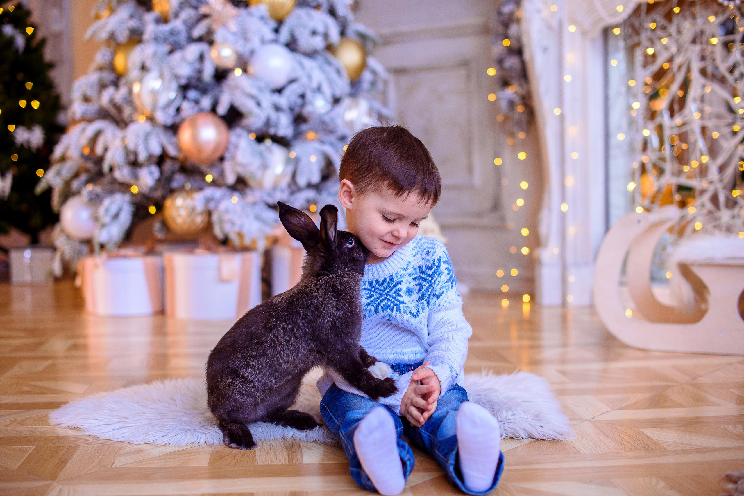 Фотосессия Семьи Благо. Фотограф. Выпускные альбомы в Барнауле