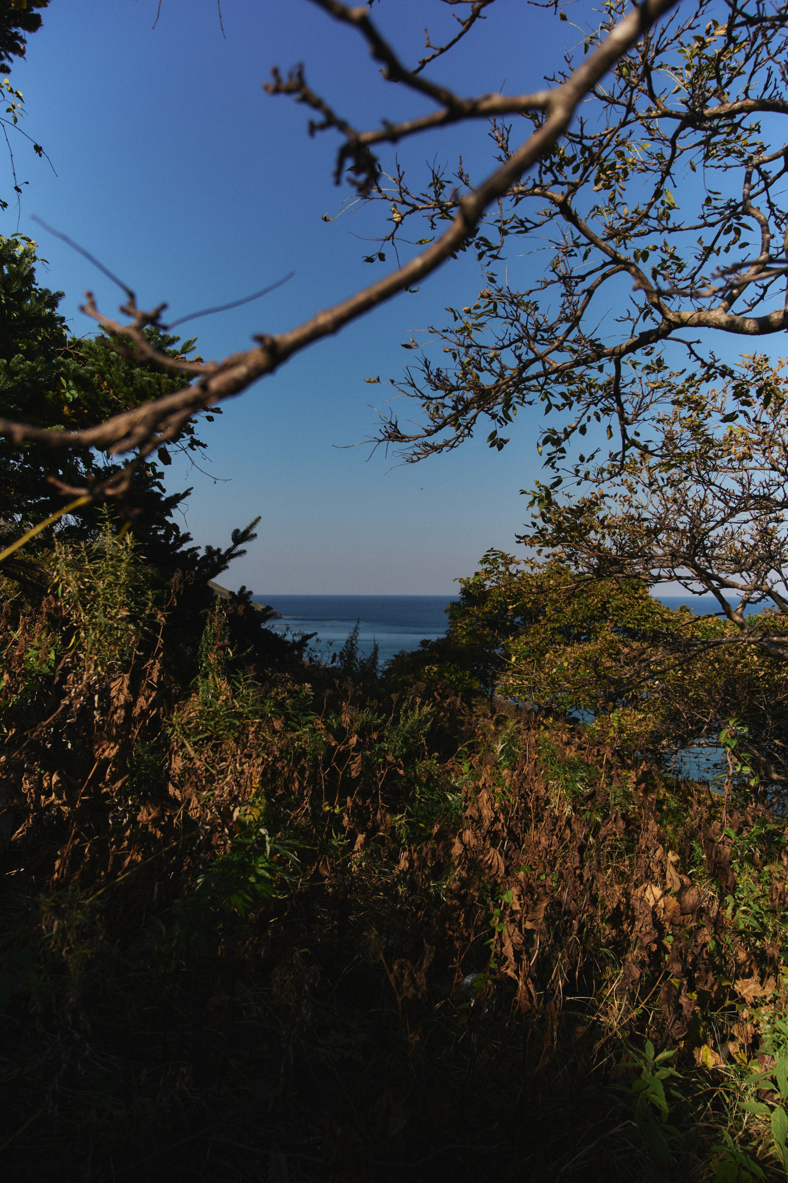 BAON x SAKHALIN. Фотограф Сурков Никита