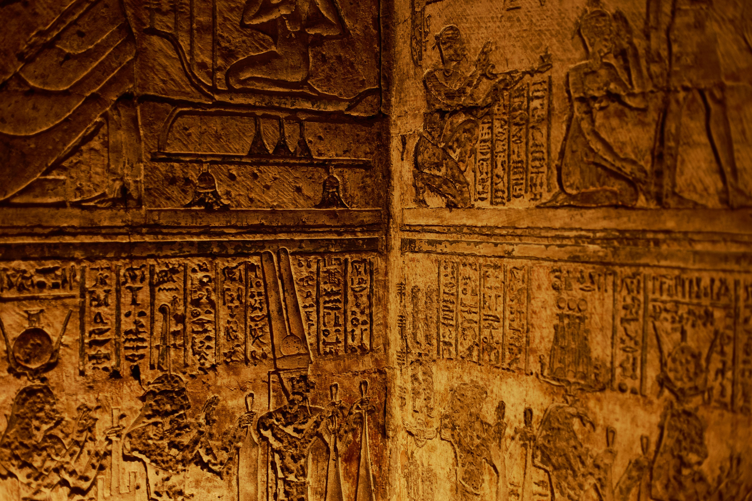 Другое 4. Jorgis — фотограф в Хургаде / обучение фотографии