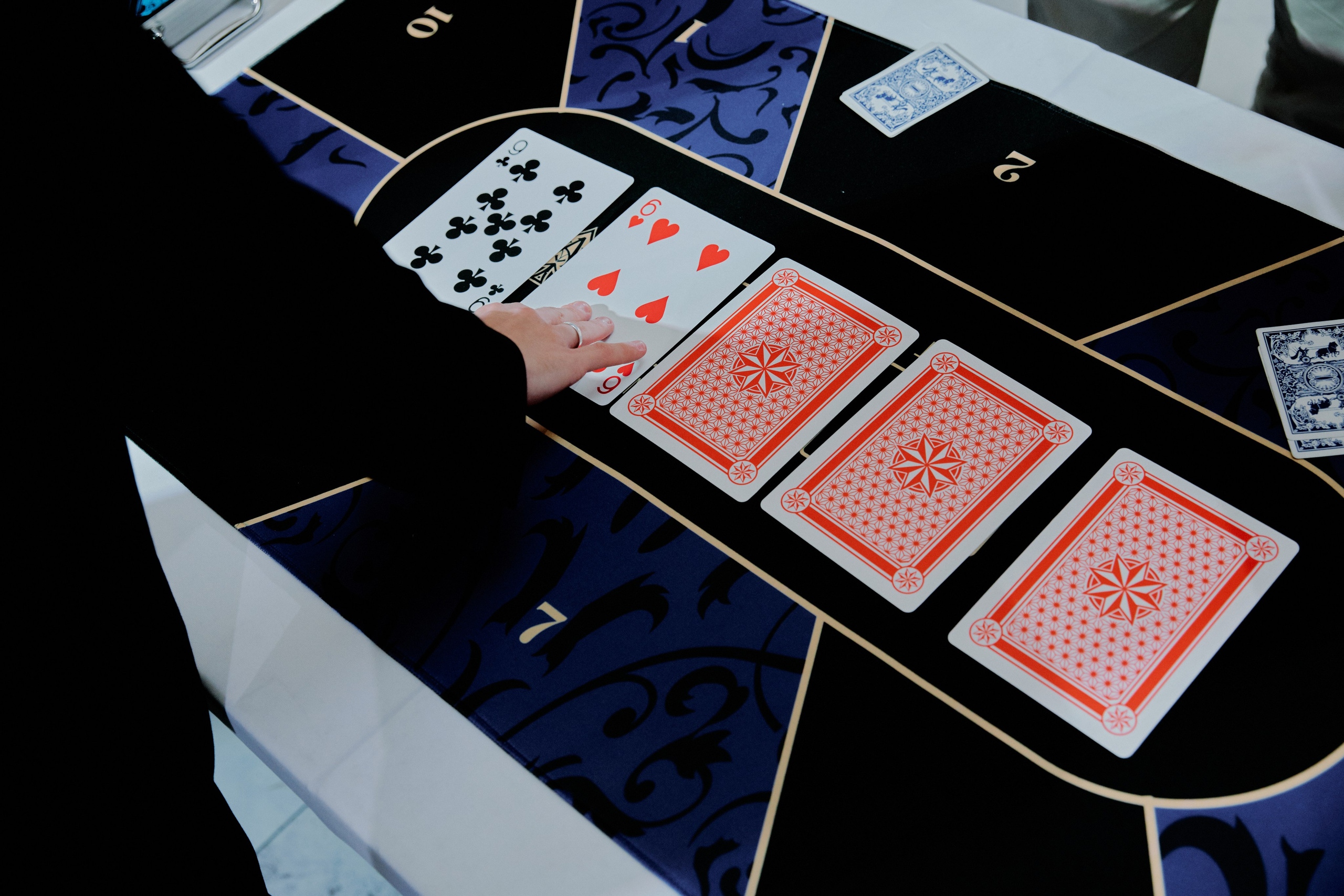 Лаймовое настроение. Фотограф Елена Краснопевцева