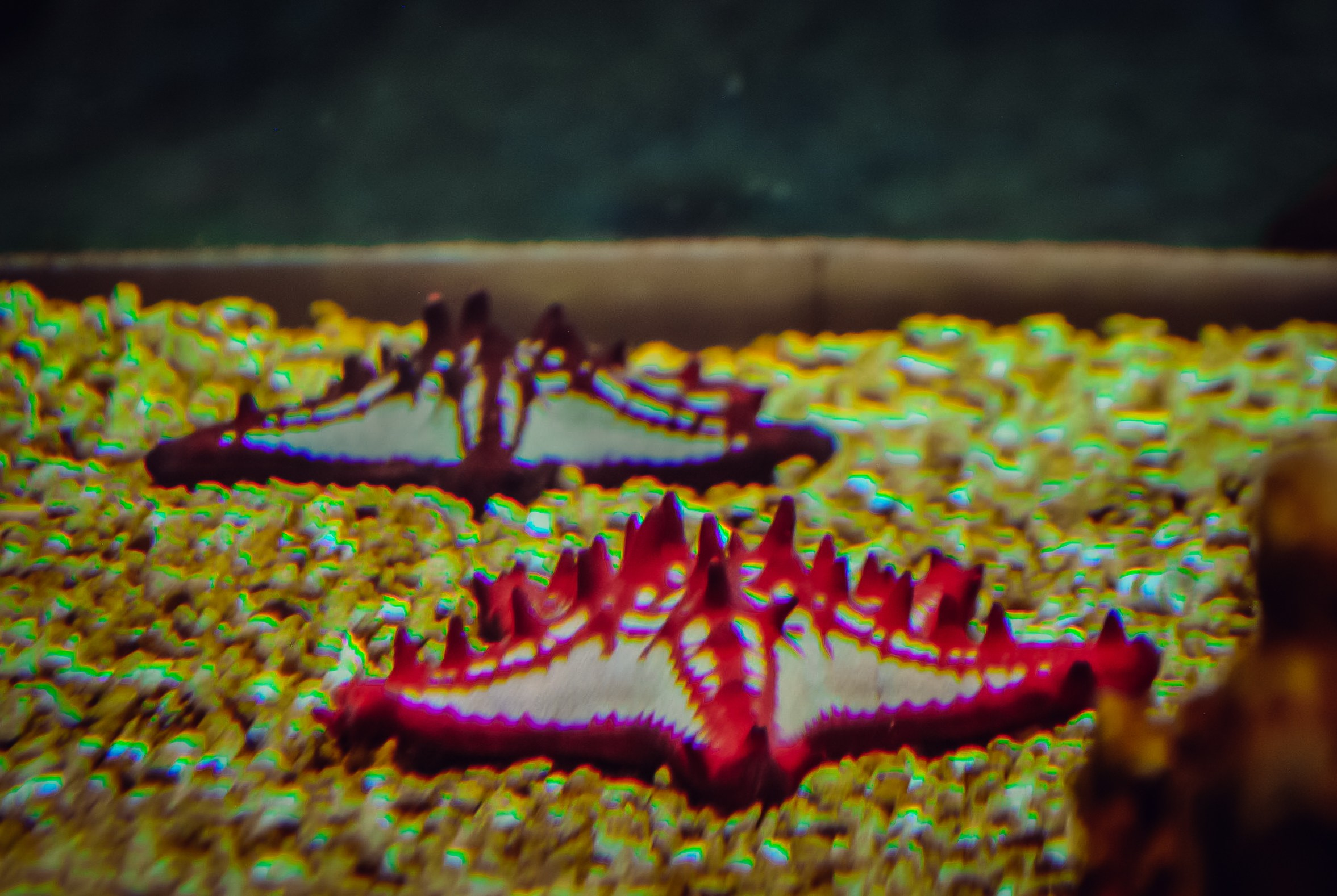 Аквапарк. Портретный фотограф DanilNabody