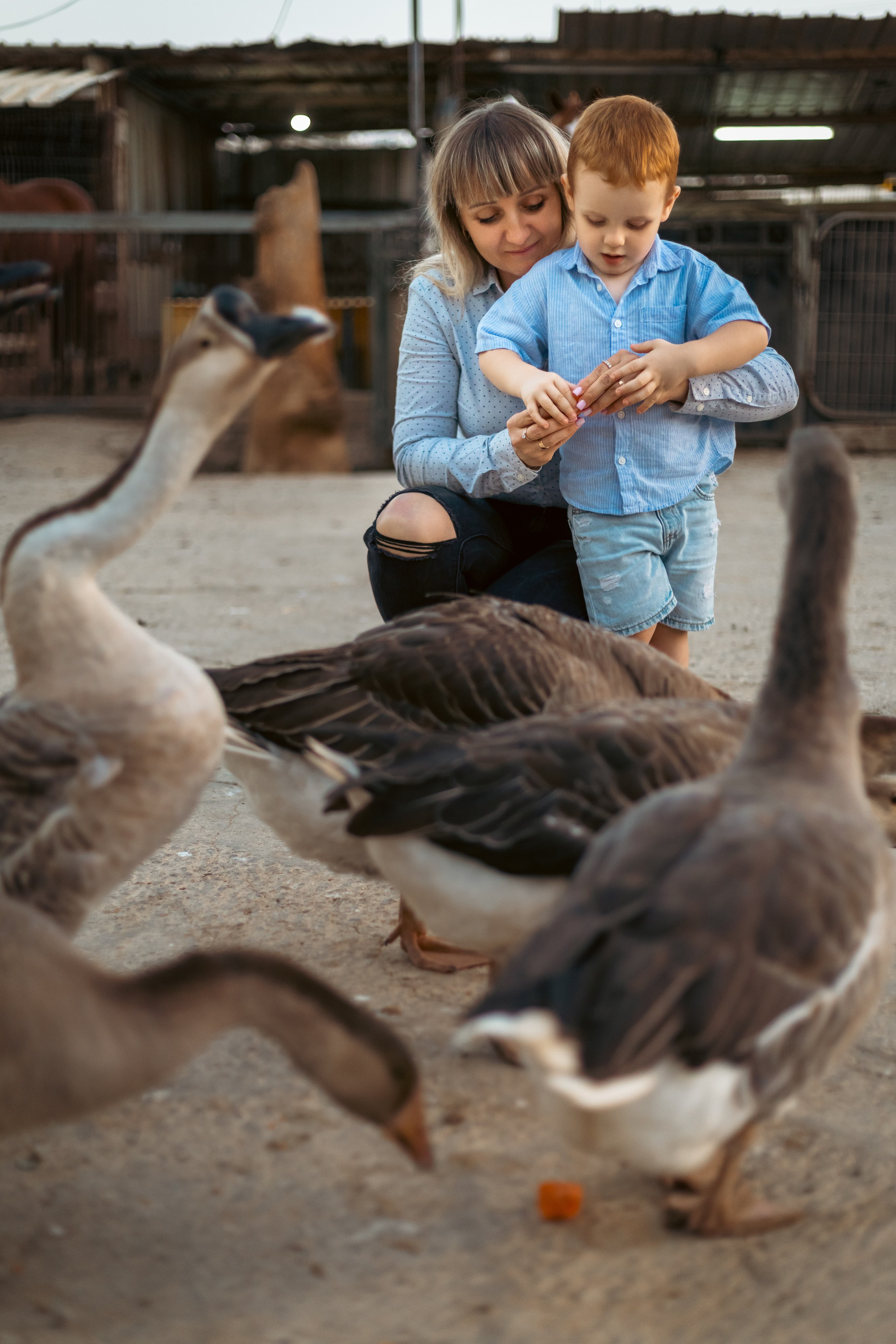 Анна и Амир. Семейный фотограф Израиль