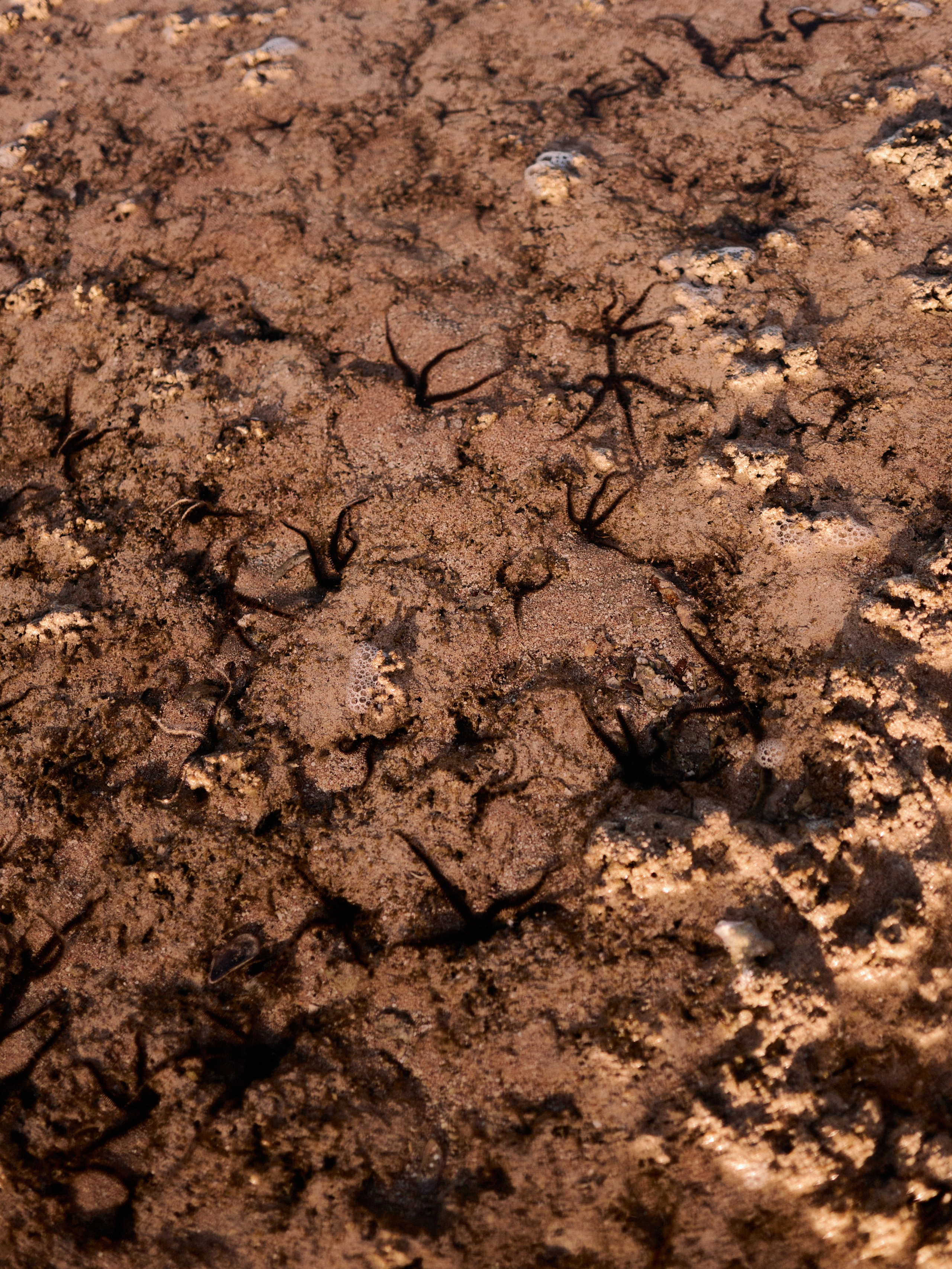 Другое 3. Jorgis Talè — photographer, kind person, teacher of arts and other mag