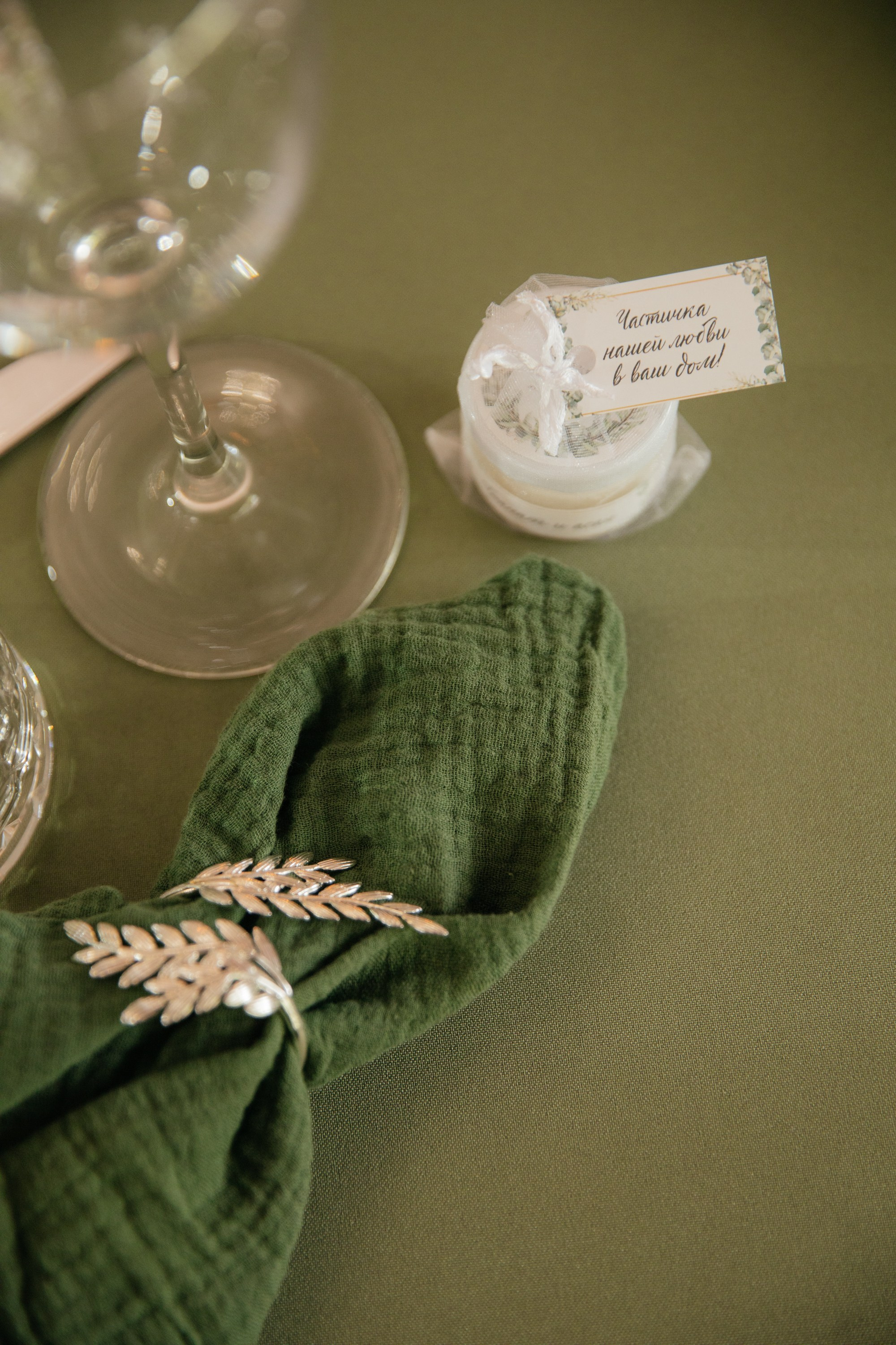 Николай и Татьяна. Фотограф Барнаул Полина Теплова