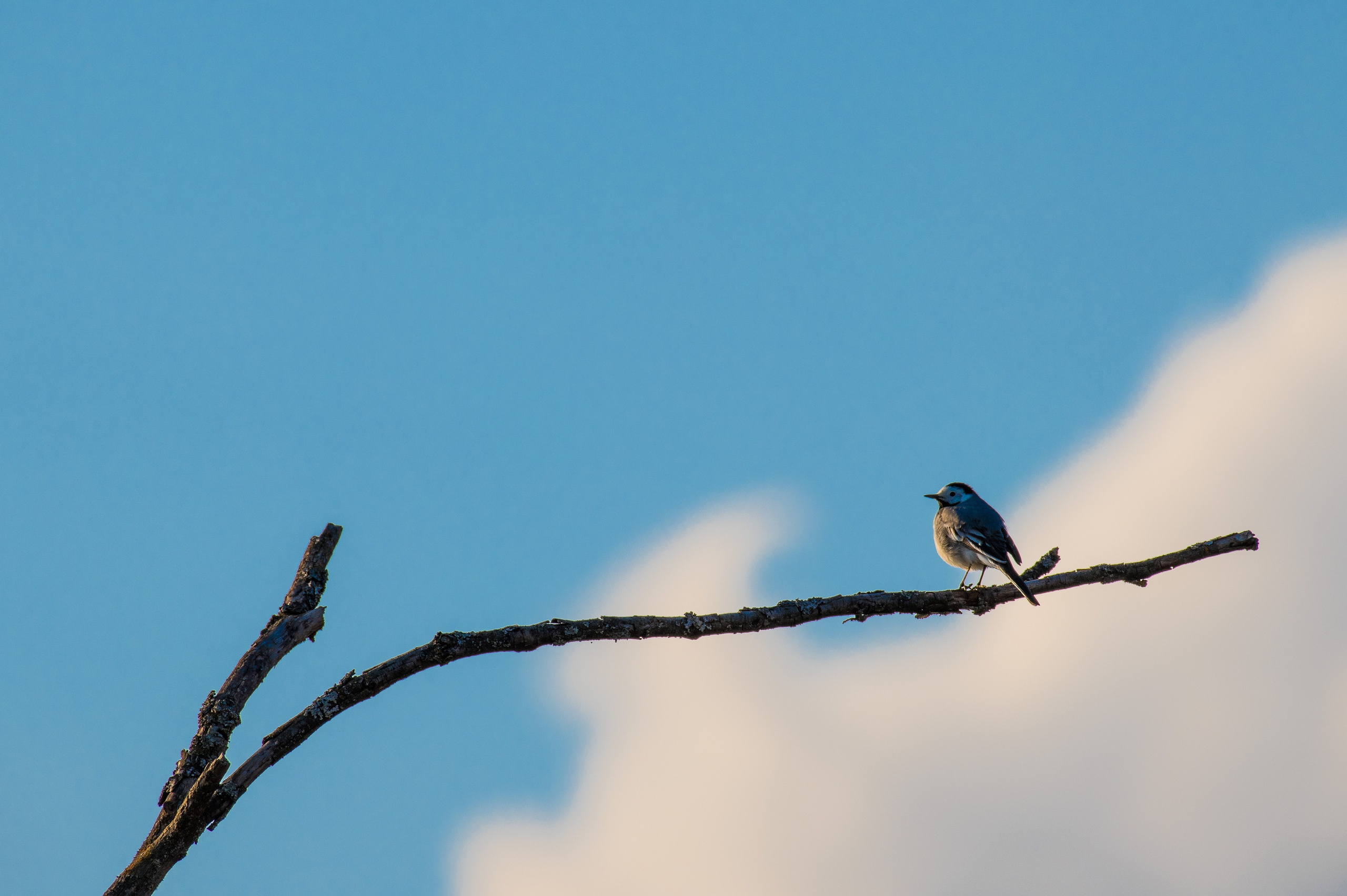 Фотоохота. Репортажный фотограф в Ижевске Константин Ившин