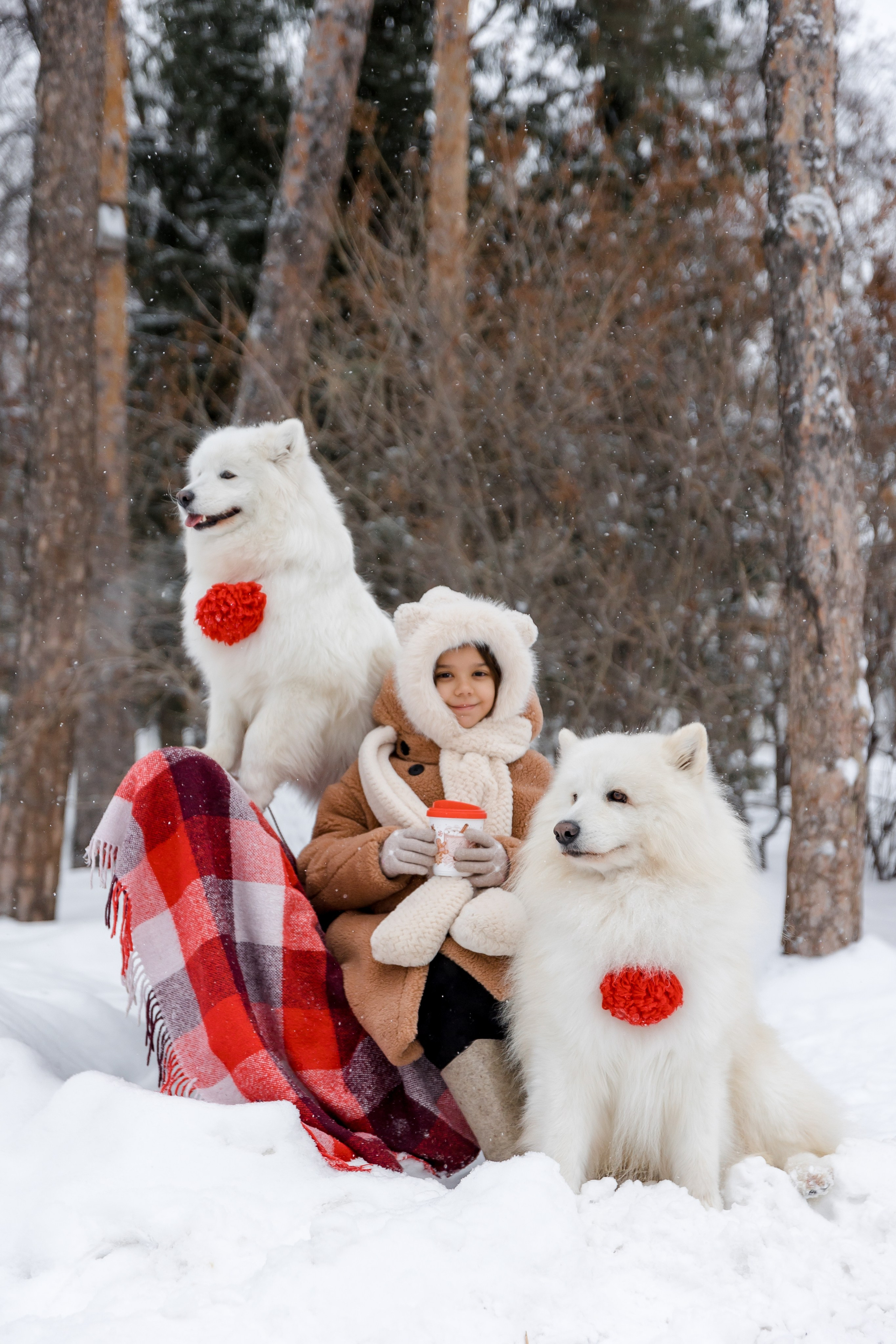 САМОЕДЫ. Свадебный и семейный фотограф Динар Гильмутдинов