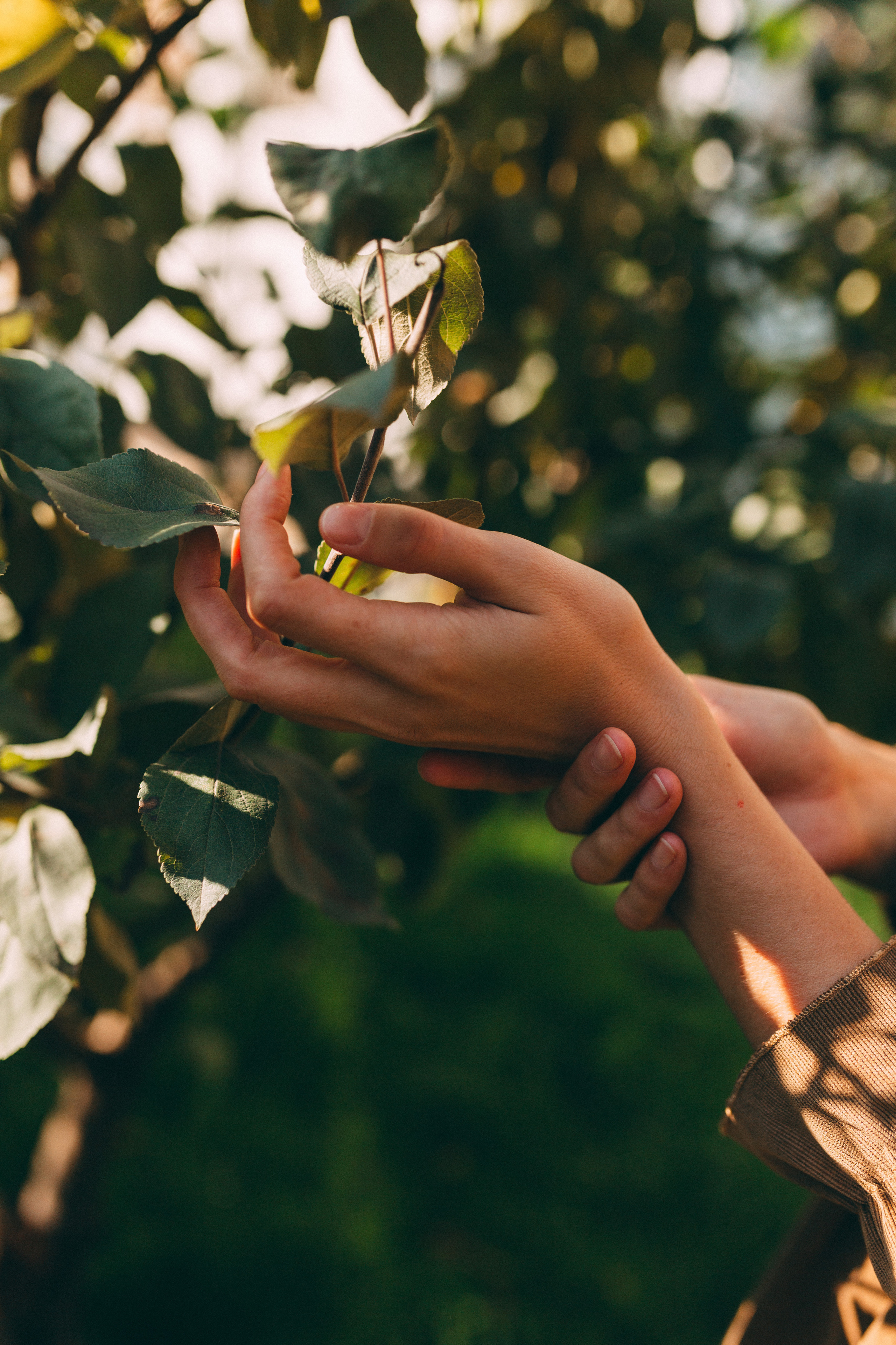 Дарья. Фотограф Кемерово Анастасия Ларионова