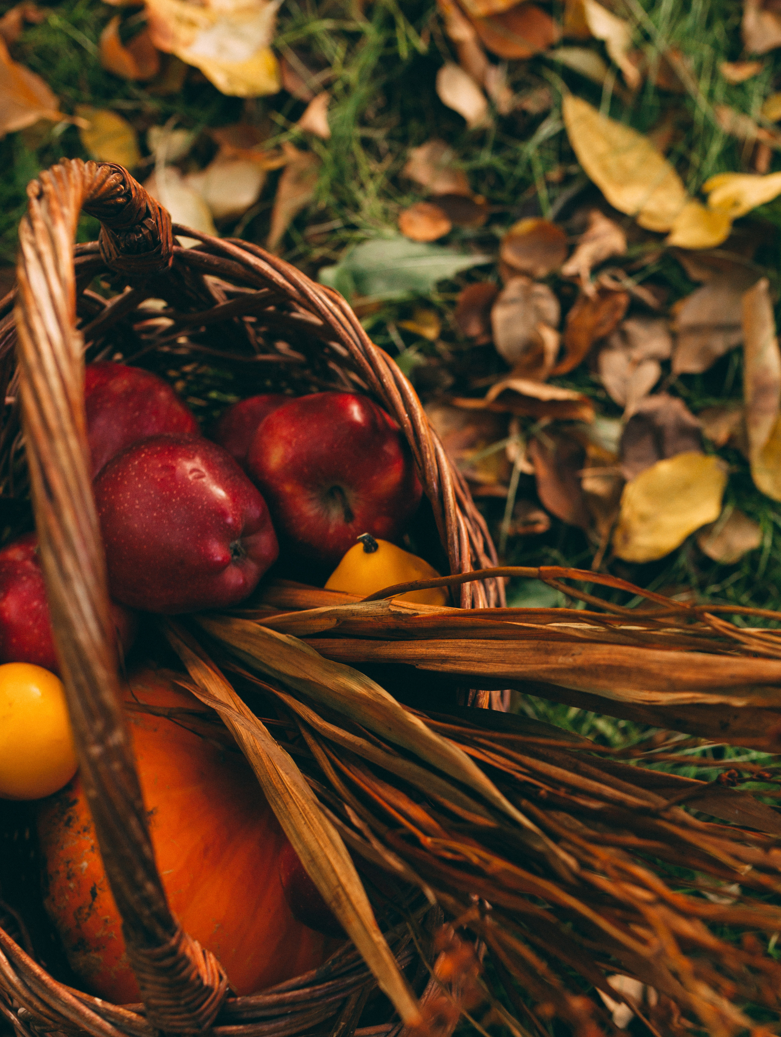 Дарья. Фотограф Кемерово Анастасия Ларионова