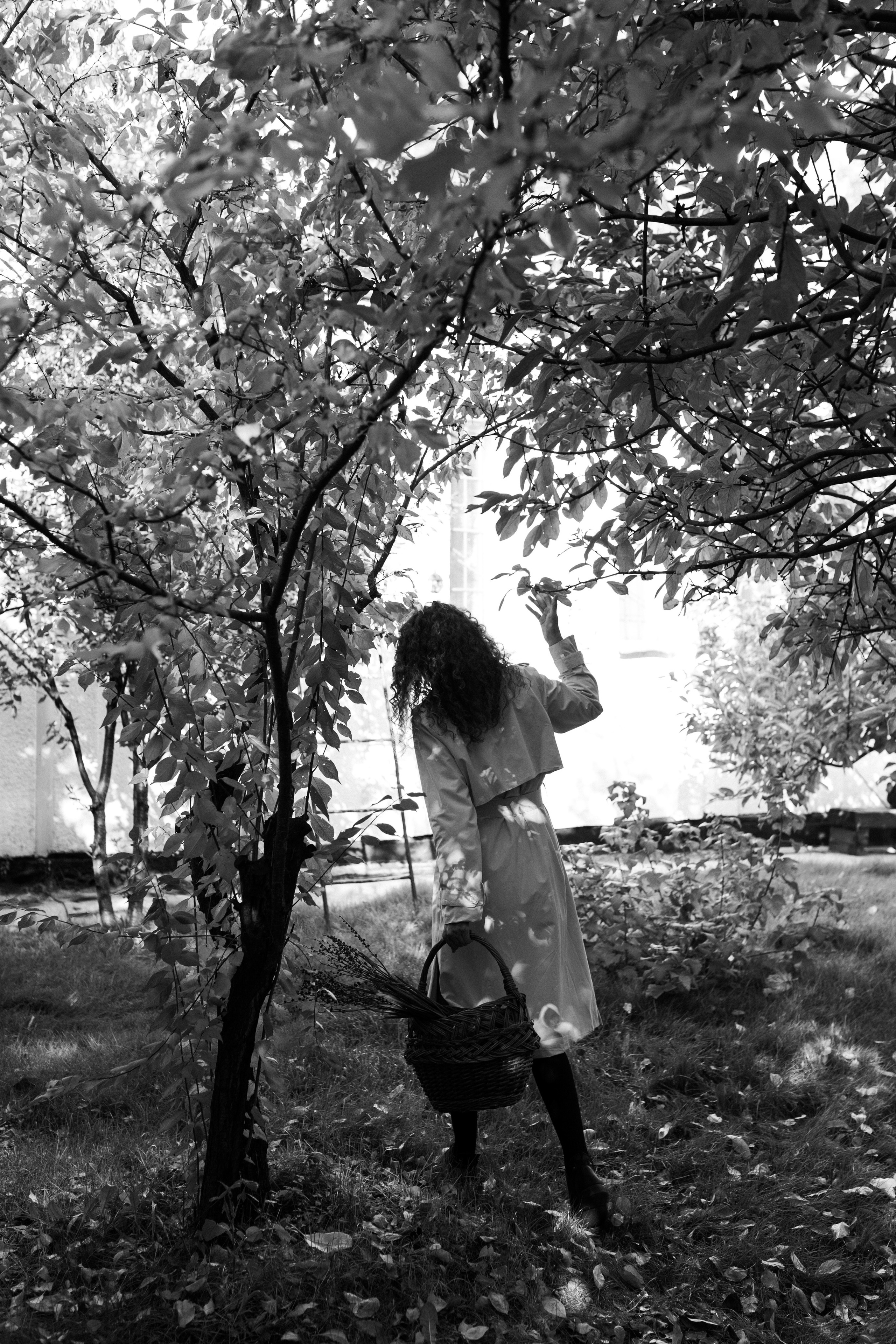 Дарья. Фотограф Кемерово Анастасия Ларионова