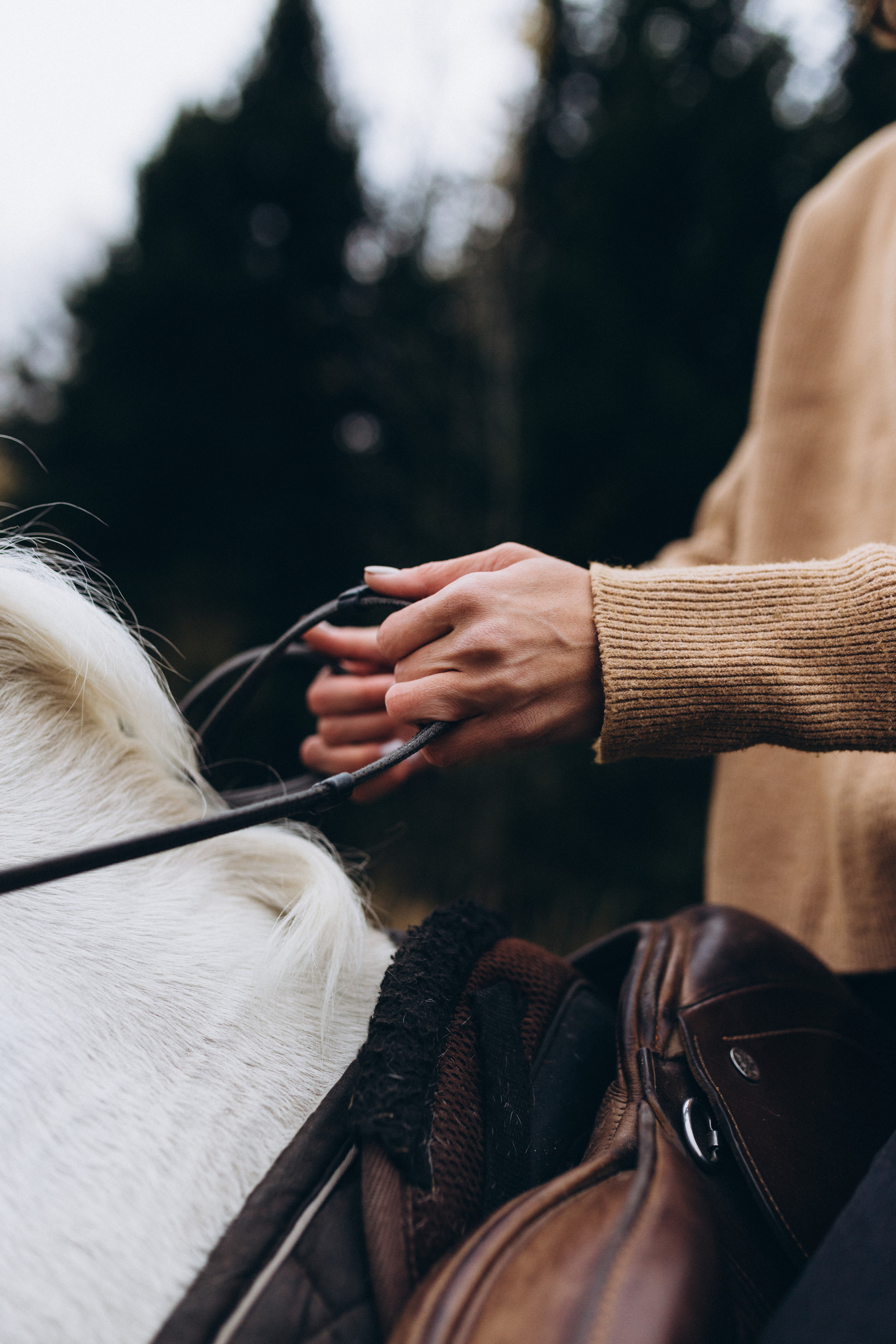 Настя. Фотограф Кемерово Анастасия Ларионова