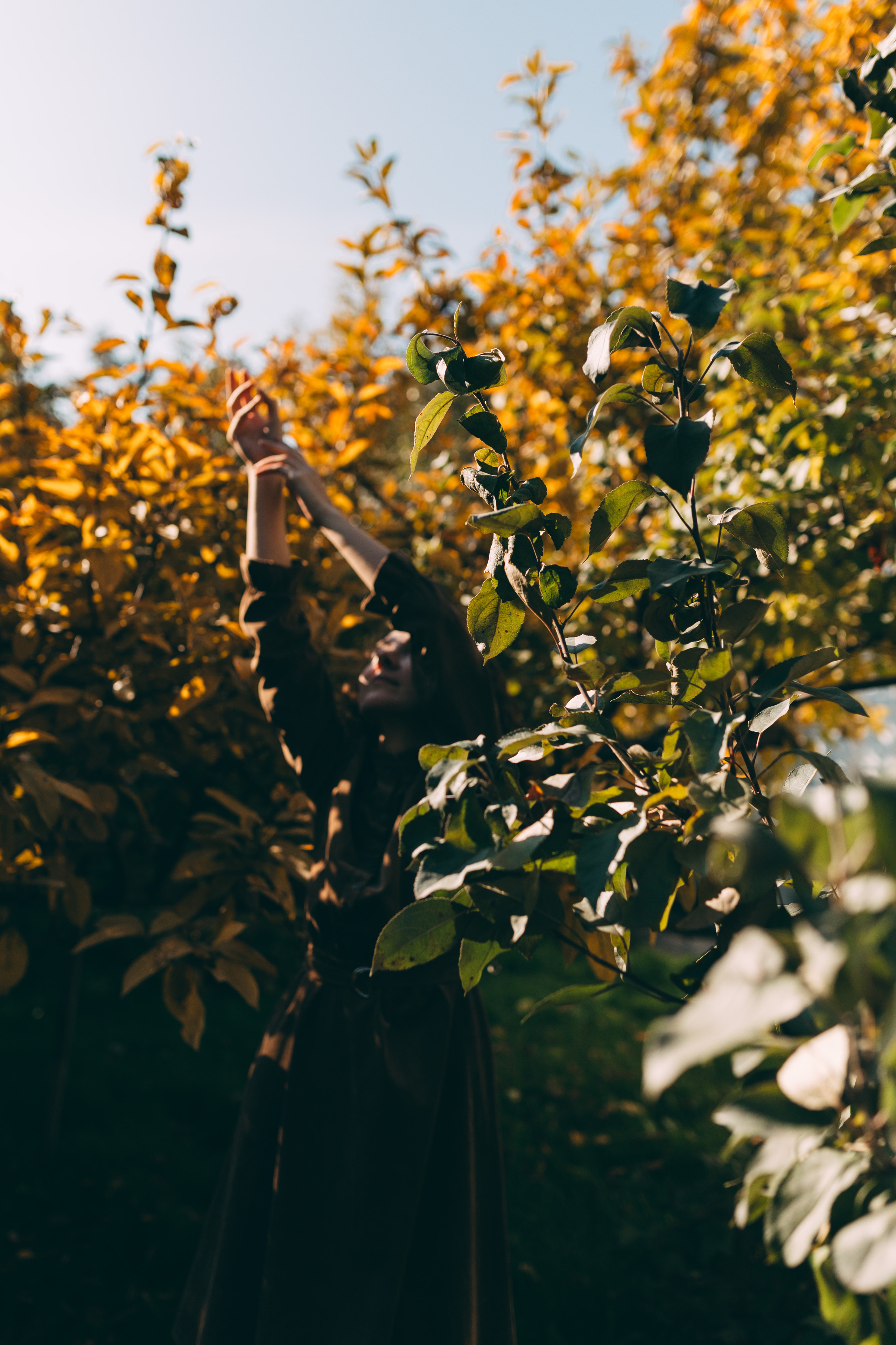 Дарья. Фотограф Кемерово Анастасия Ларионова