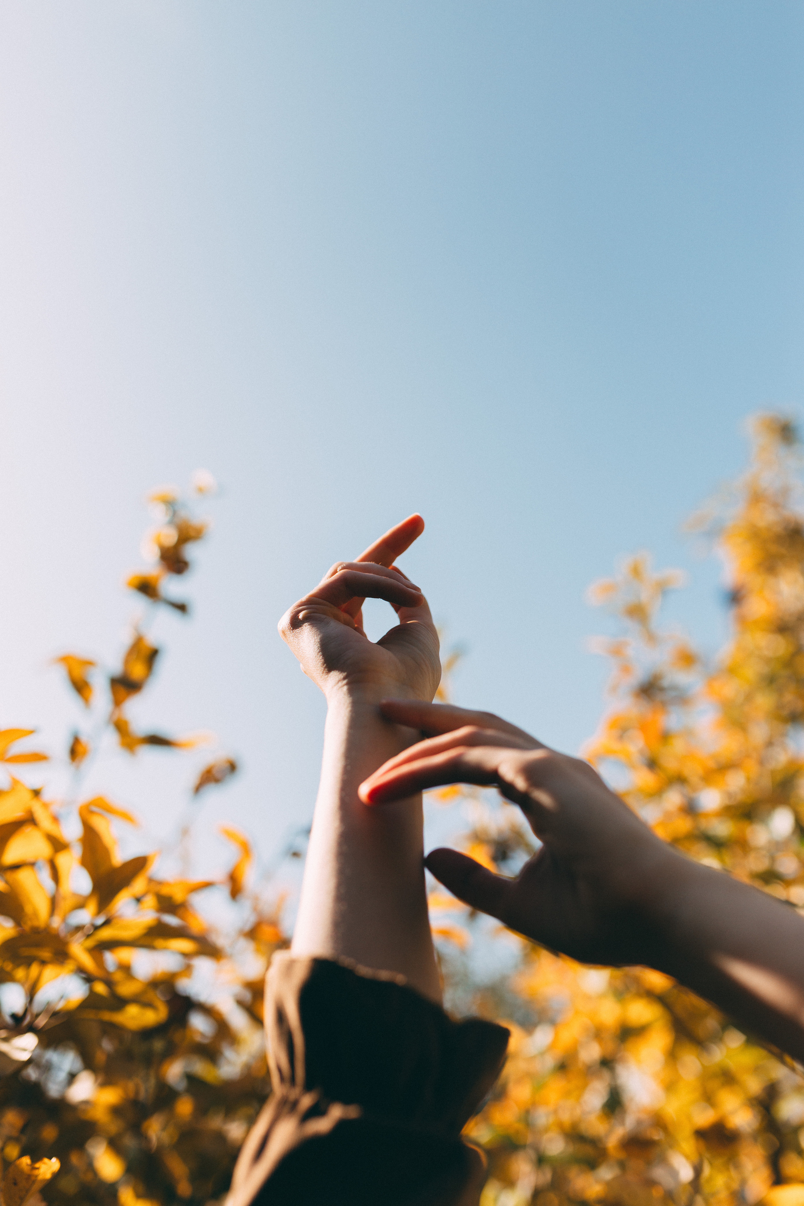 Дарья. Фотограф Кемерово Анастасия Ларионова