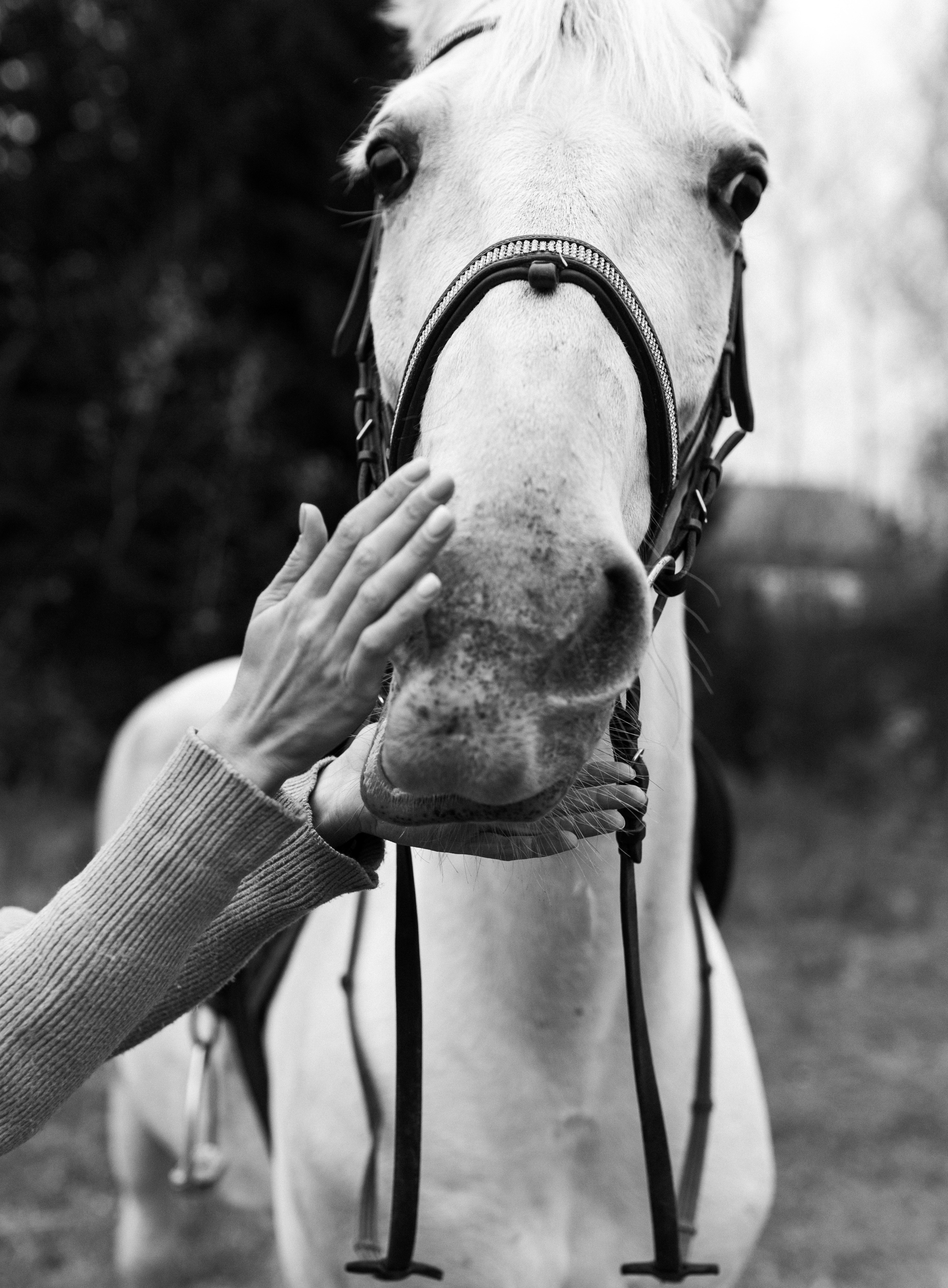 Настя. Фотограф Кемерово Анастасия Ларионова
