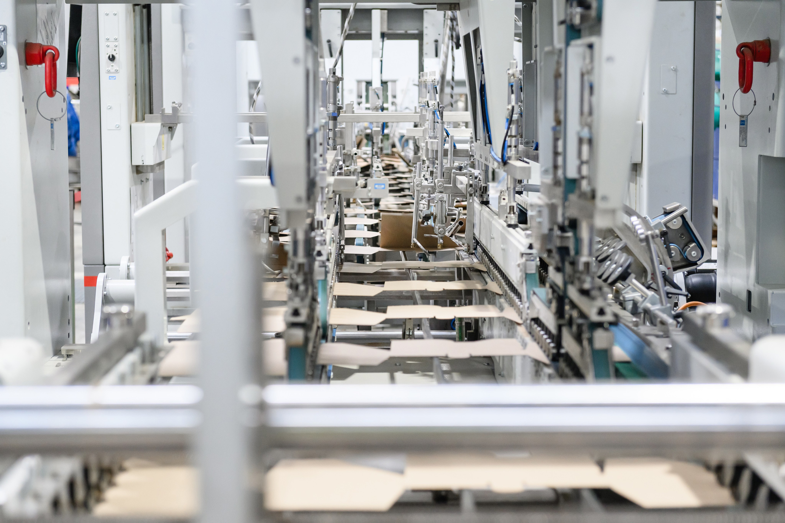 Проекты. Профессиональный фотограф Вячеслав Плацында | Липецк |