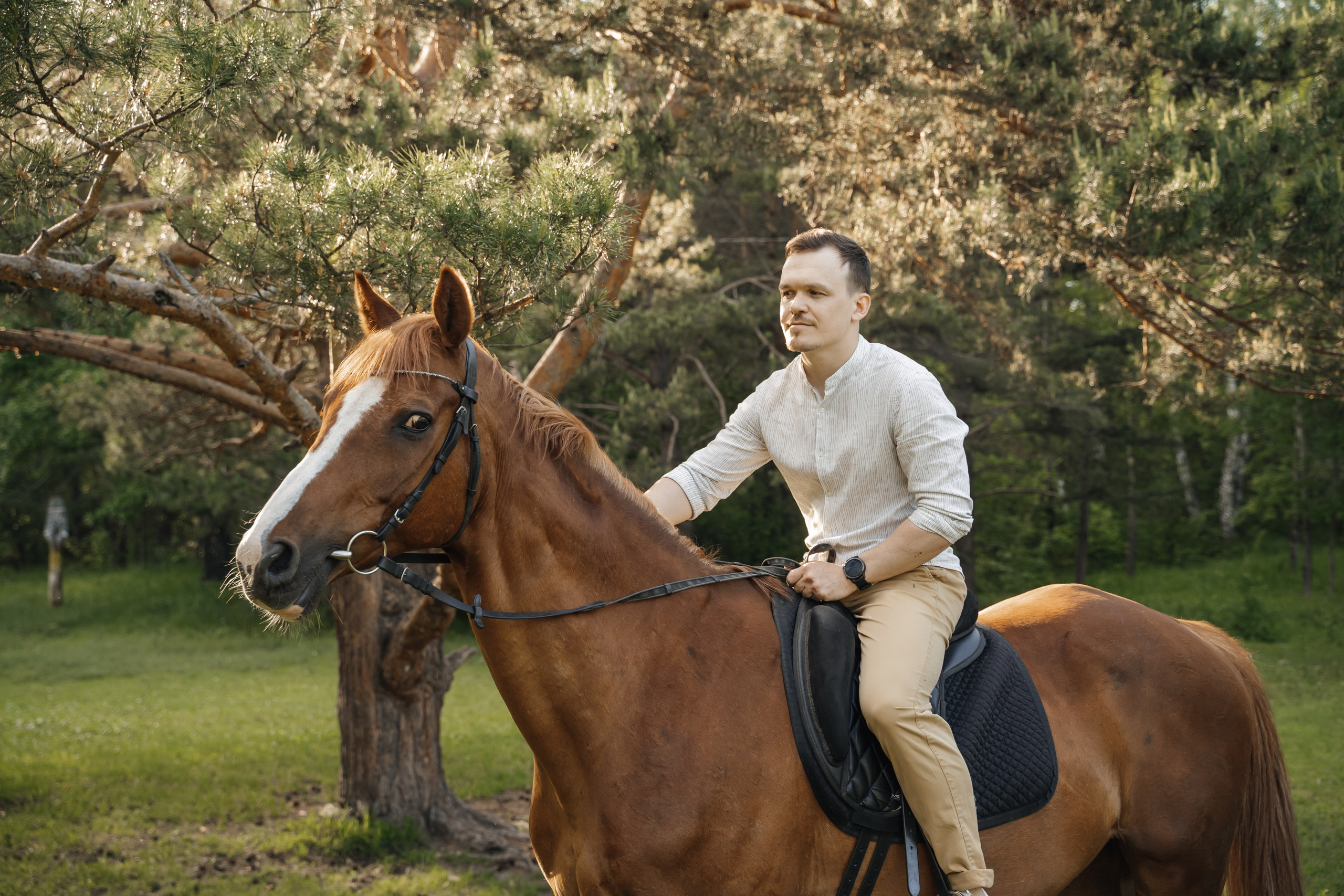 Семейная история с лошадьми. Главная