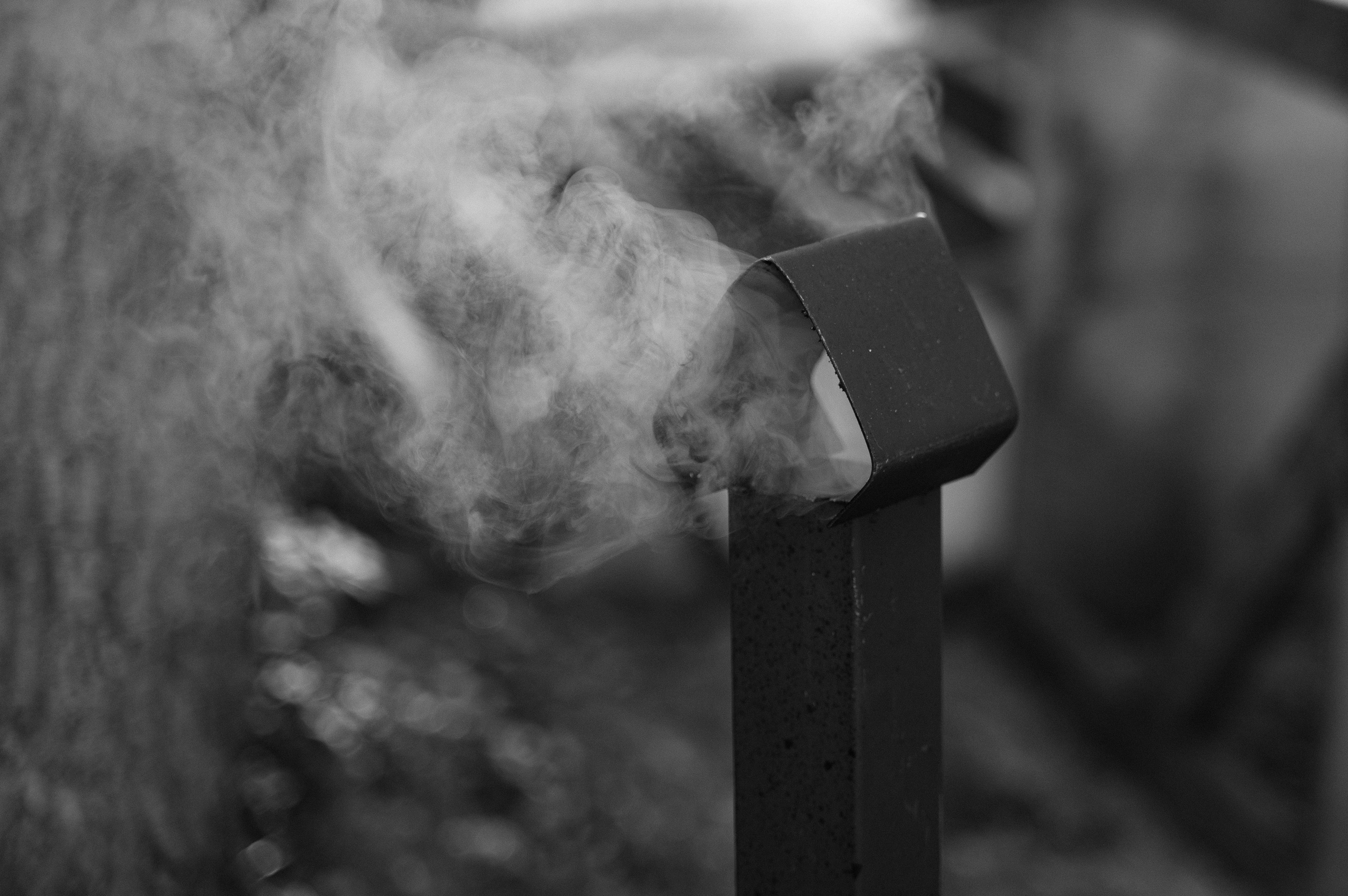 Yandex. Свадебный фотограф Минск