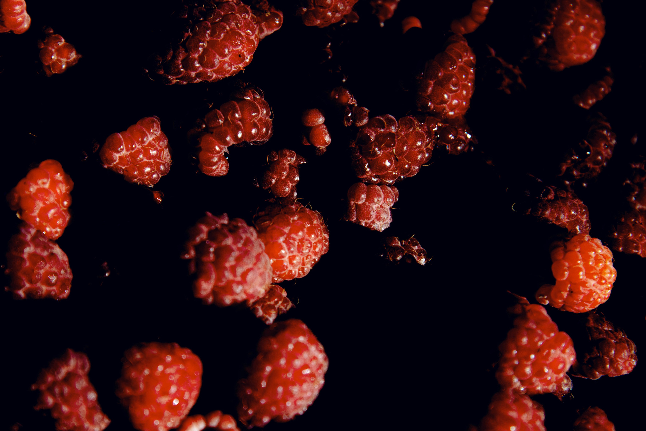 Природа. Александра Панина фотограф, портрет, семья, бизнес, Новосибирск