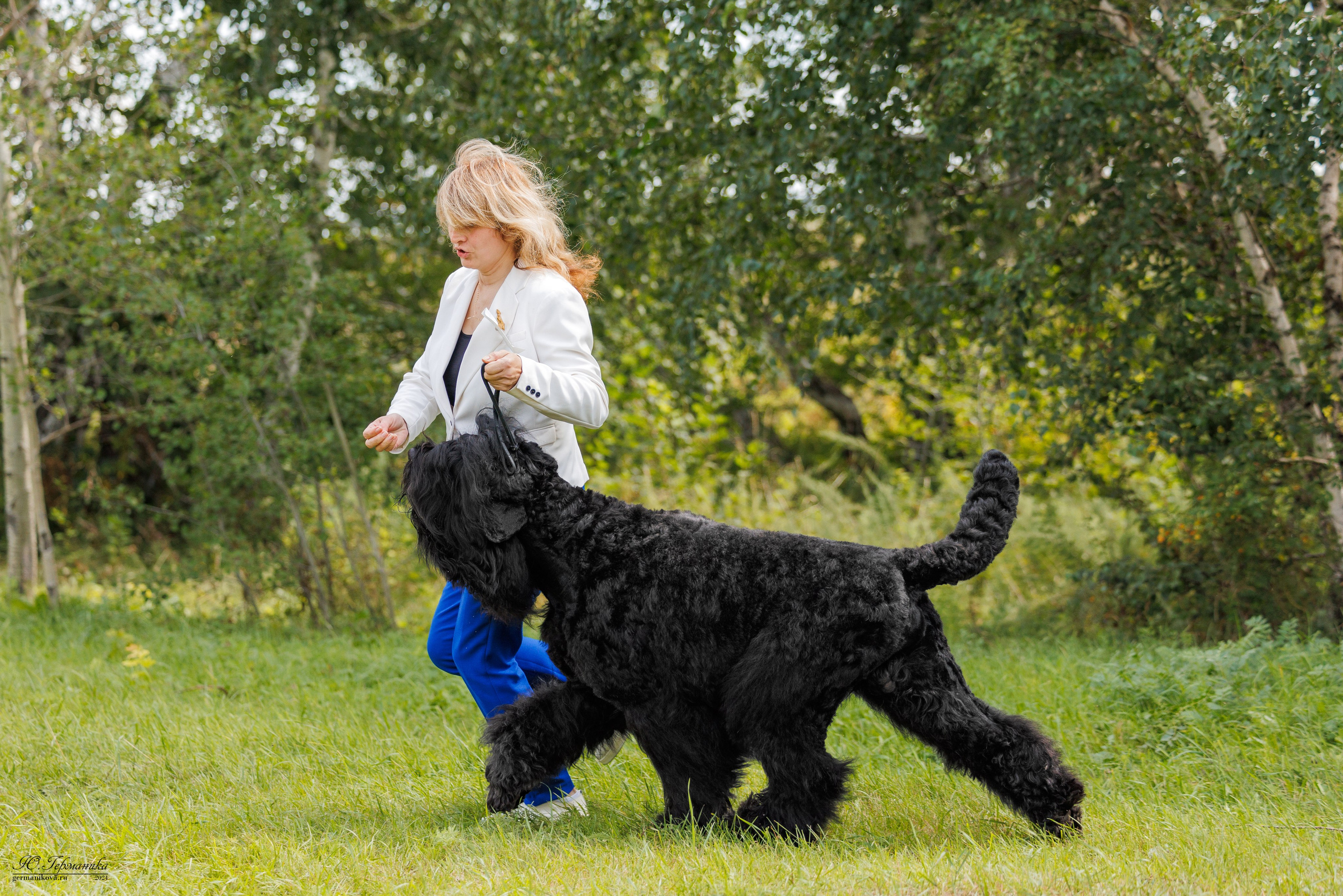 Астана 2хCACIB 17-18.08.2024. Фотограф-анималист Юлия Германика