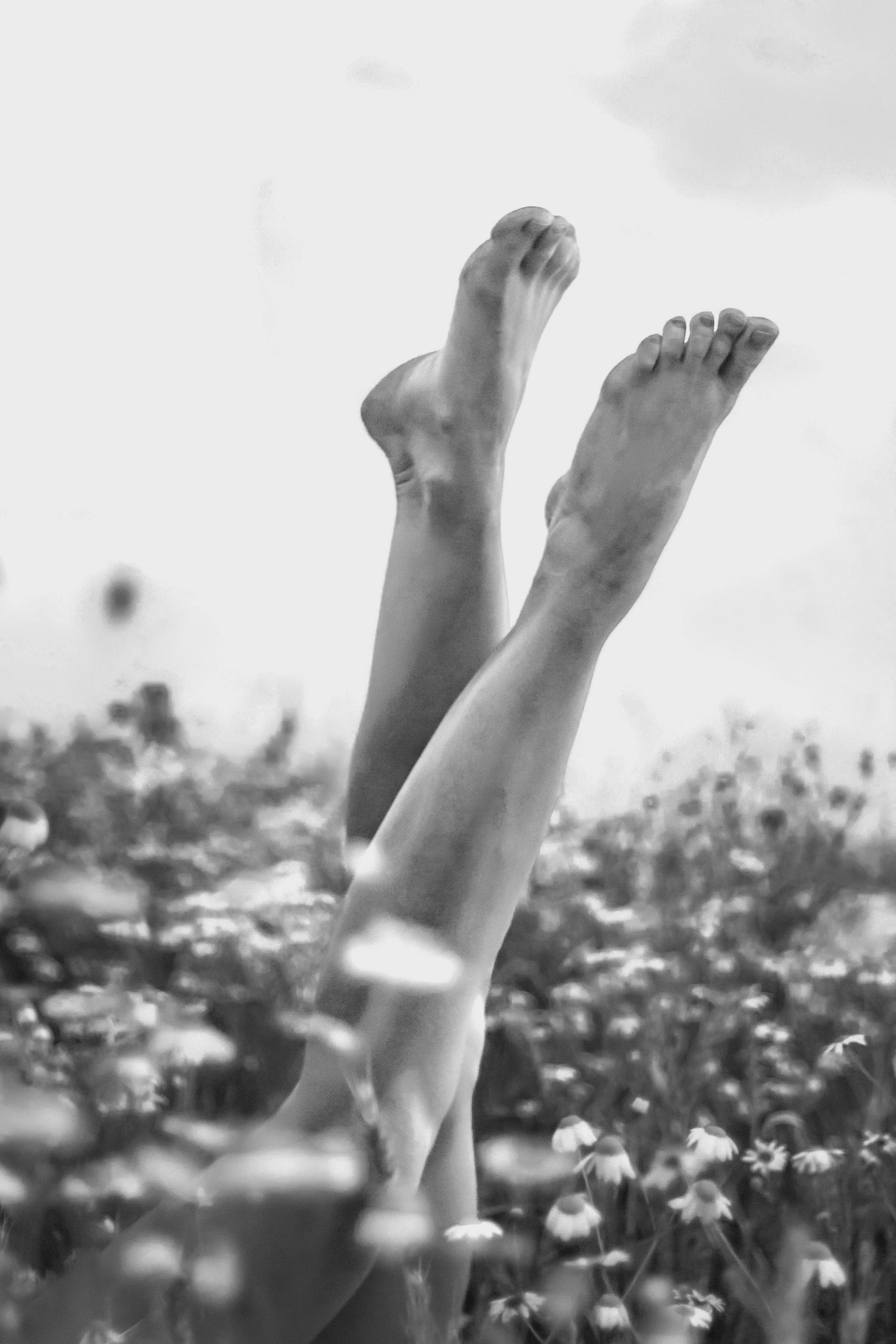 Портфолио. She-iren.wfolio.pro