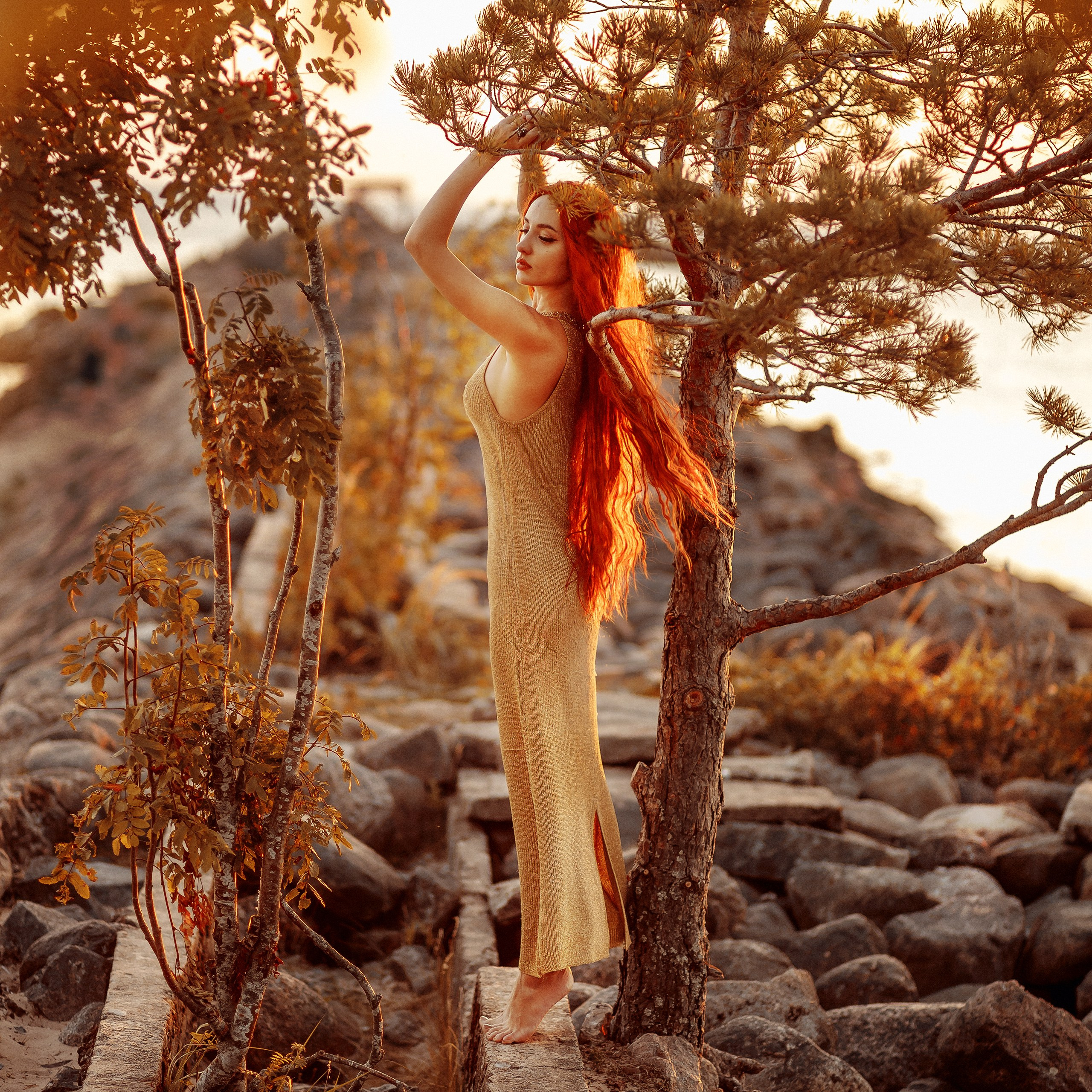 Творчество. 2323.рф, 2323