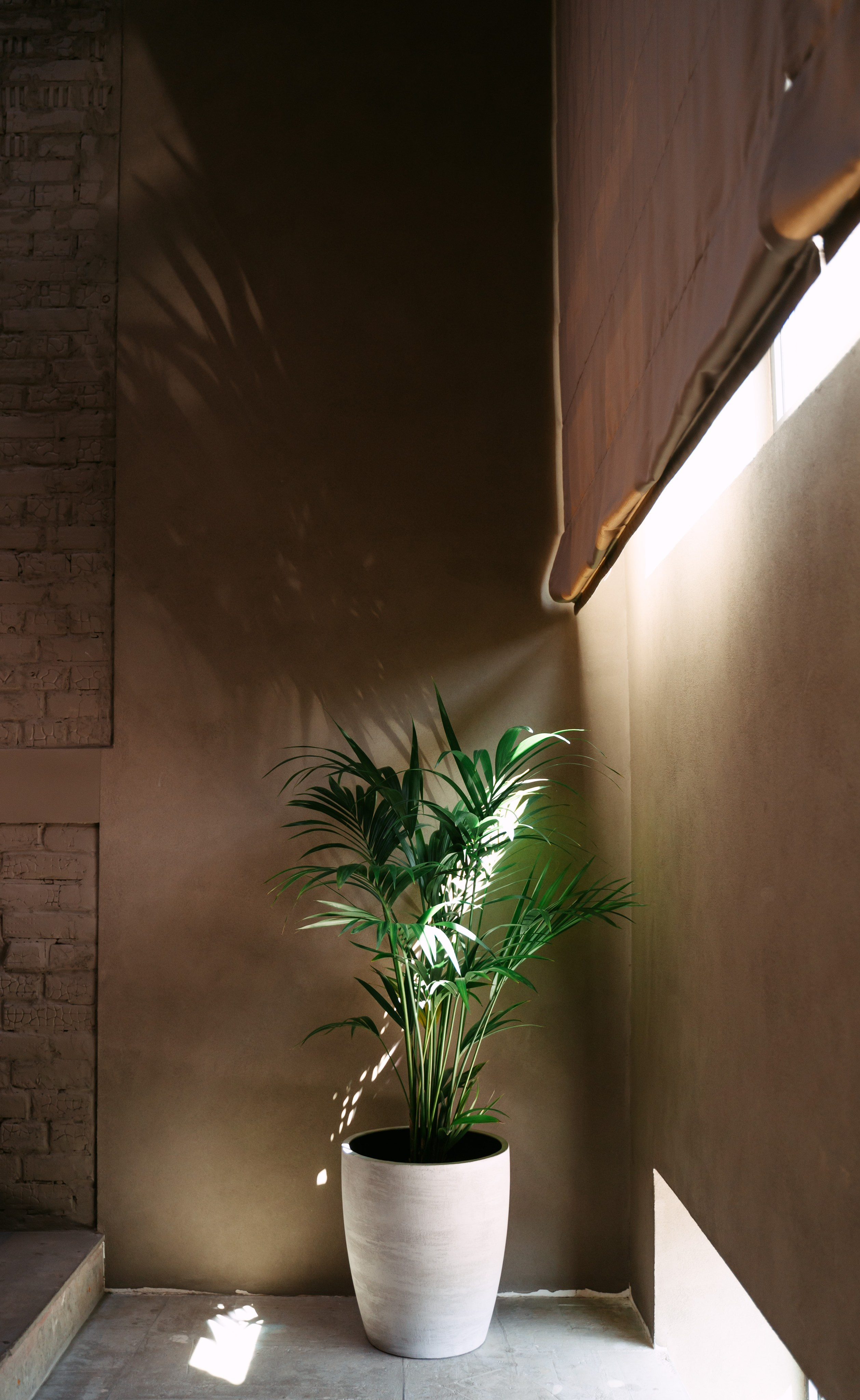 Cesar, Lualdi. Презентация итальянских брендов / 2024. Саша Копылов, фотограф в Казани