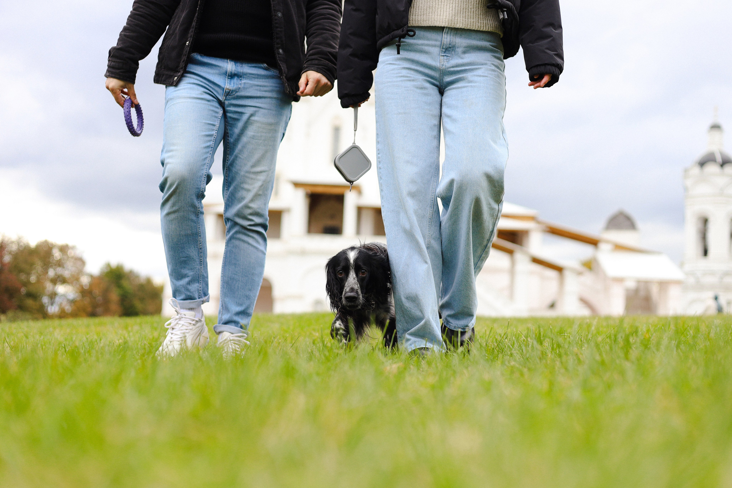 Милка, Вероника и Тимофей. Фотограф-анималист Ксения Шевцова|Москва