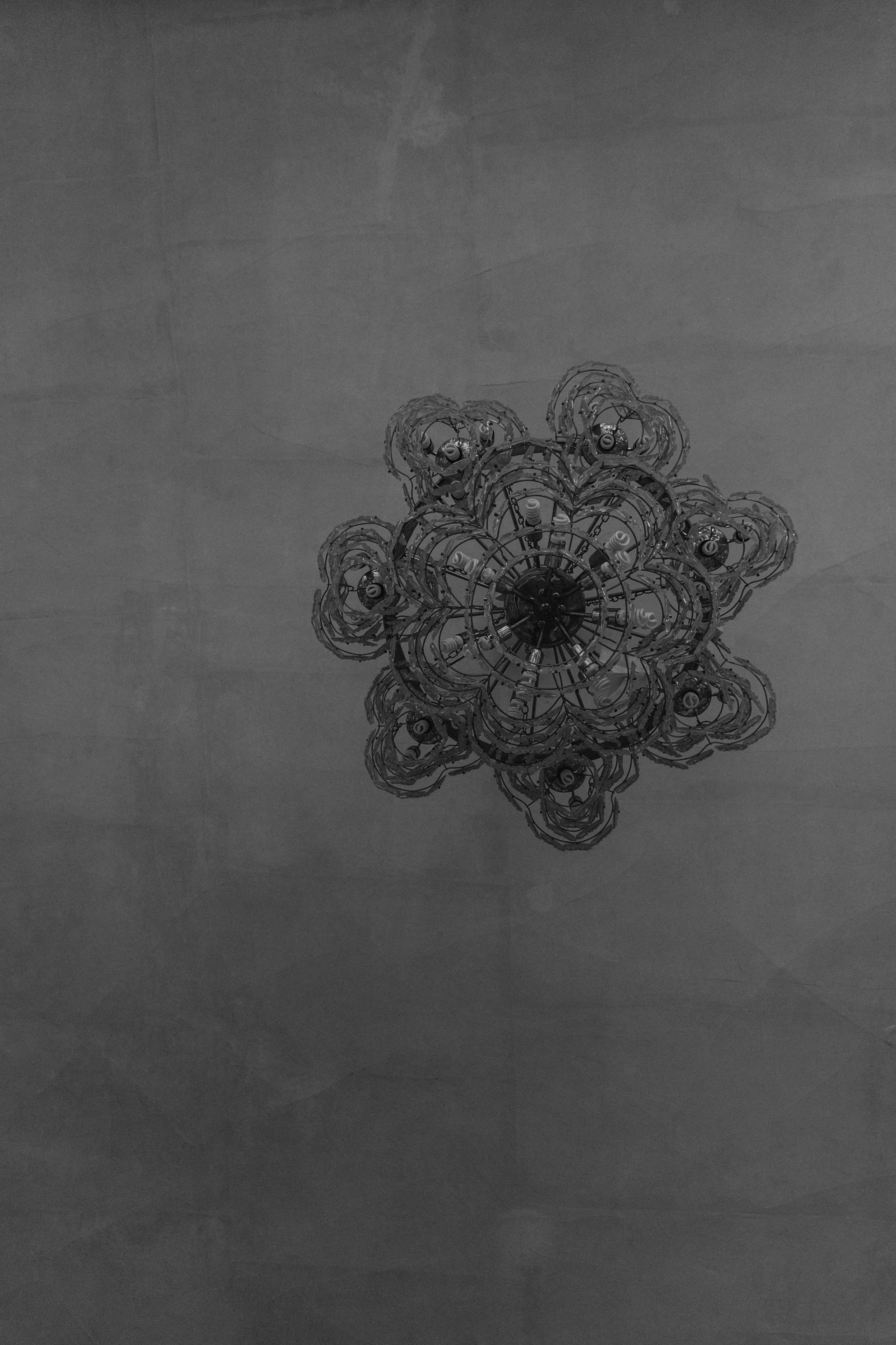 Василина Батищева, профессиональный свадебный, семейный и портретный фотограф в Моздоке. Снимаю в Осетии|Фиагдон. Свадебный и семейный фотограф Василина Батищева в Моздоке, Северной Осетии и КМВ