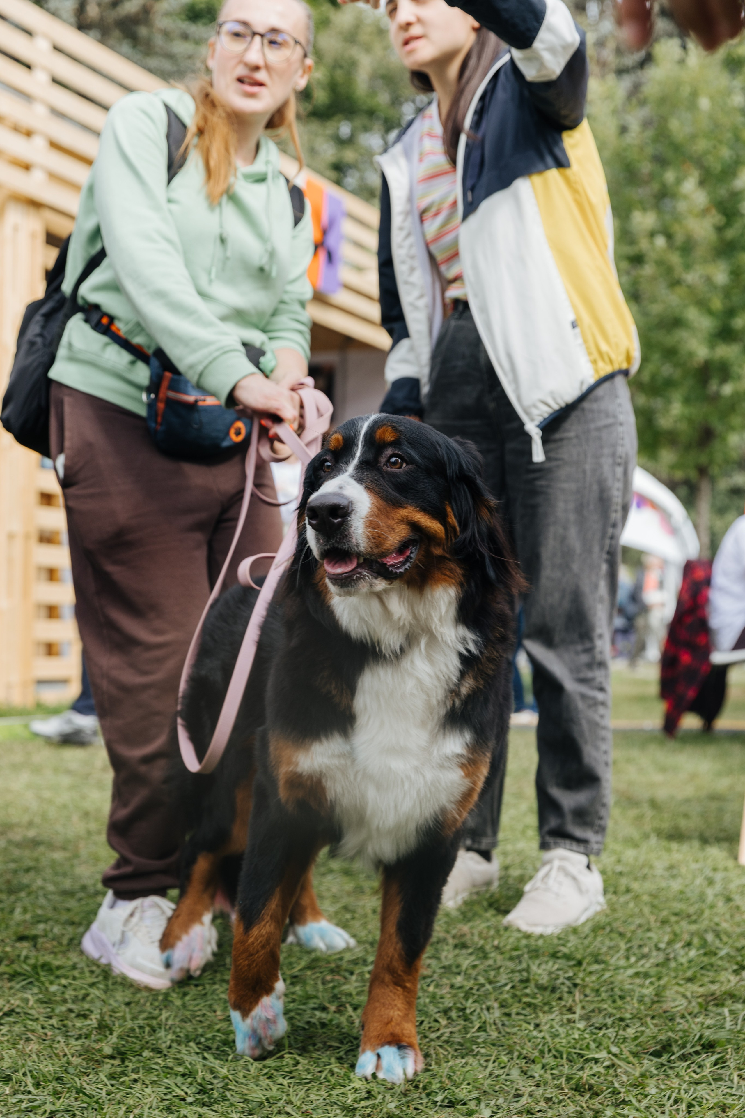 Хвостатый репортаж. Аксана Лисовская фотограф в Москве. Фотографии с характером