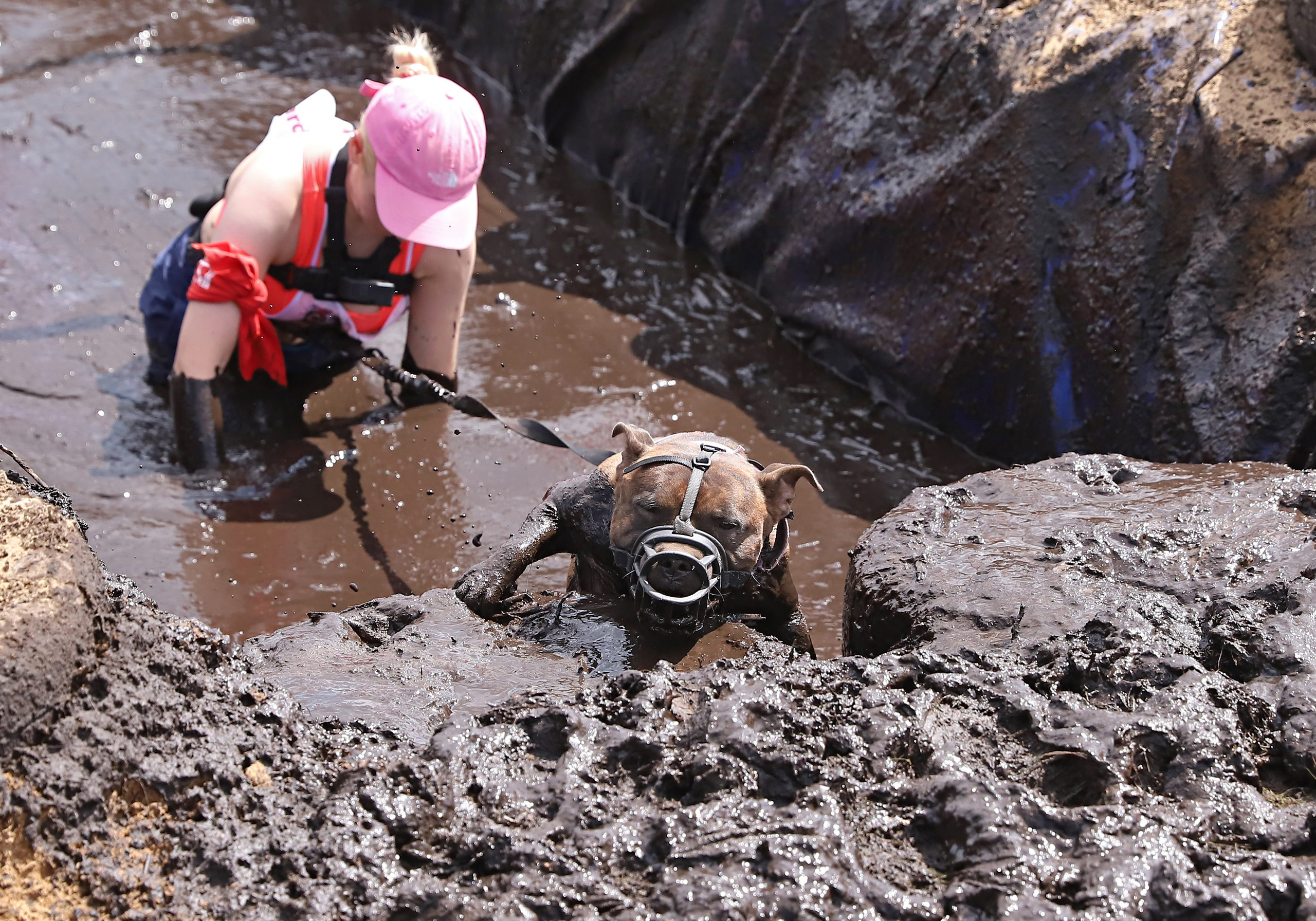 Хвостатый драйв. Семейный и детский фотограф в Москве и МО Елена Москвичева