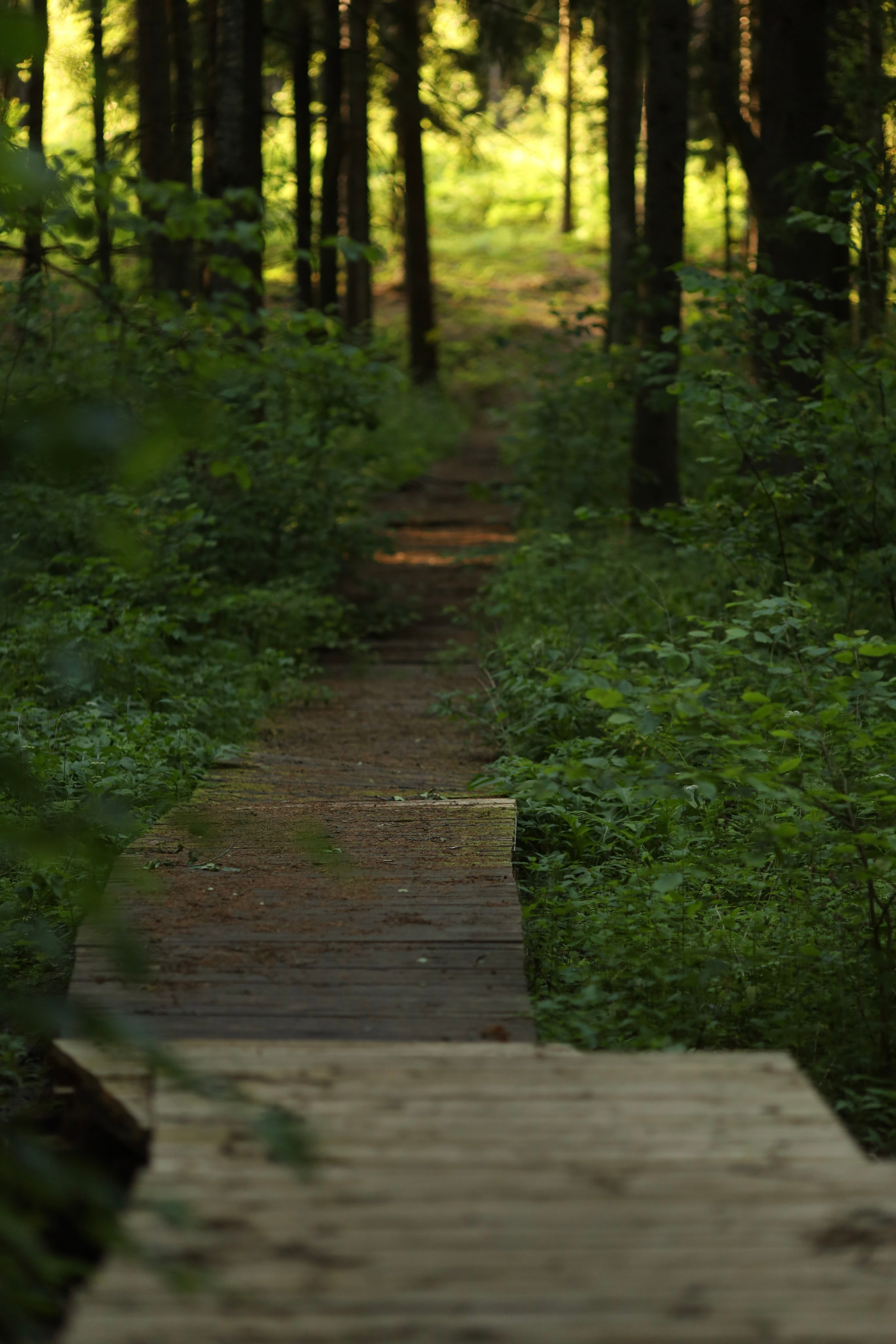 Архитектура. Фотографии души