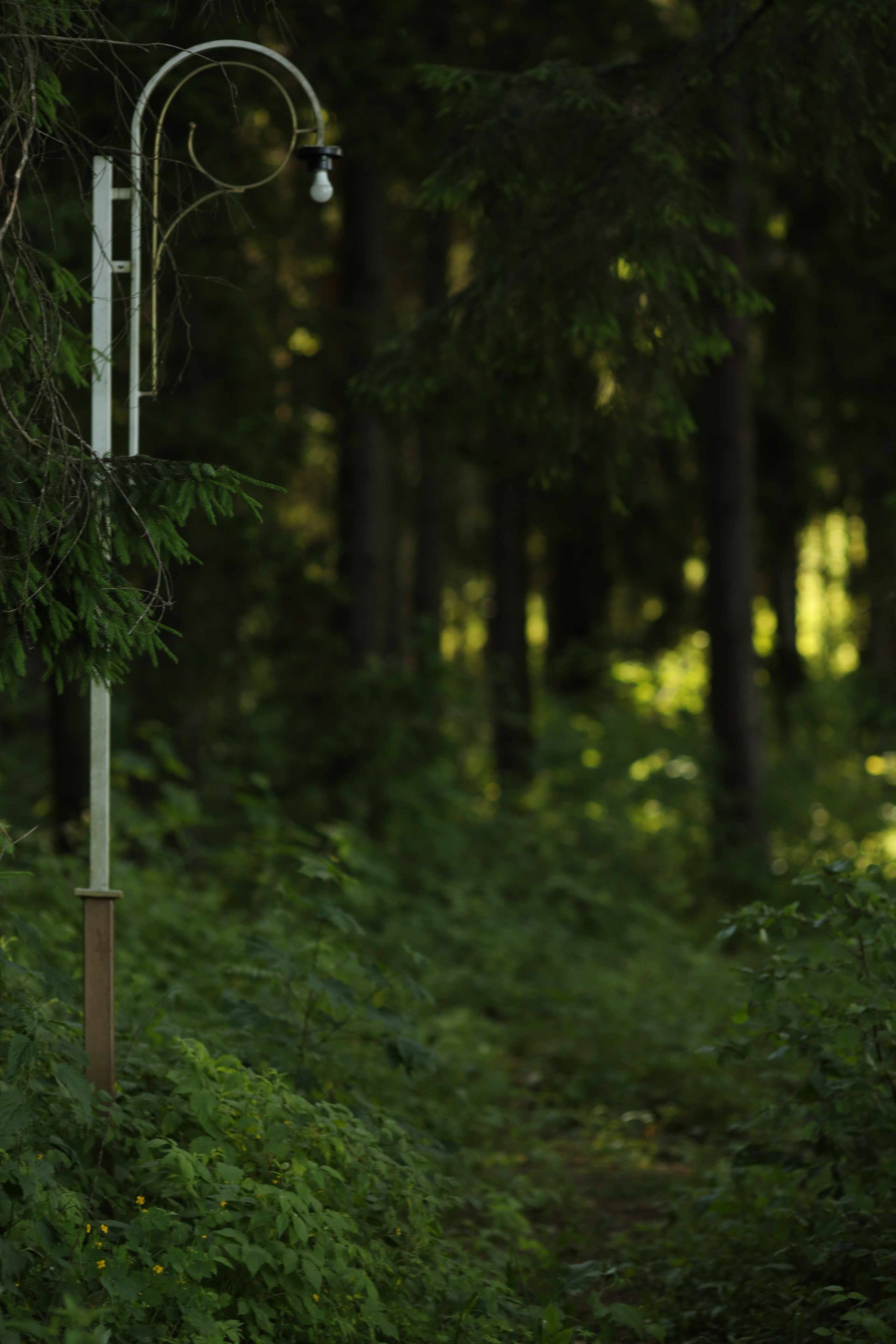 Архитектура. Фотографии души