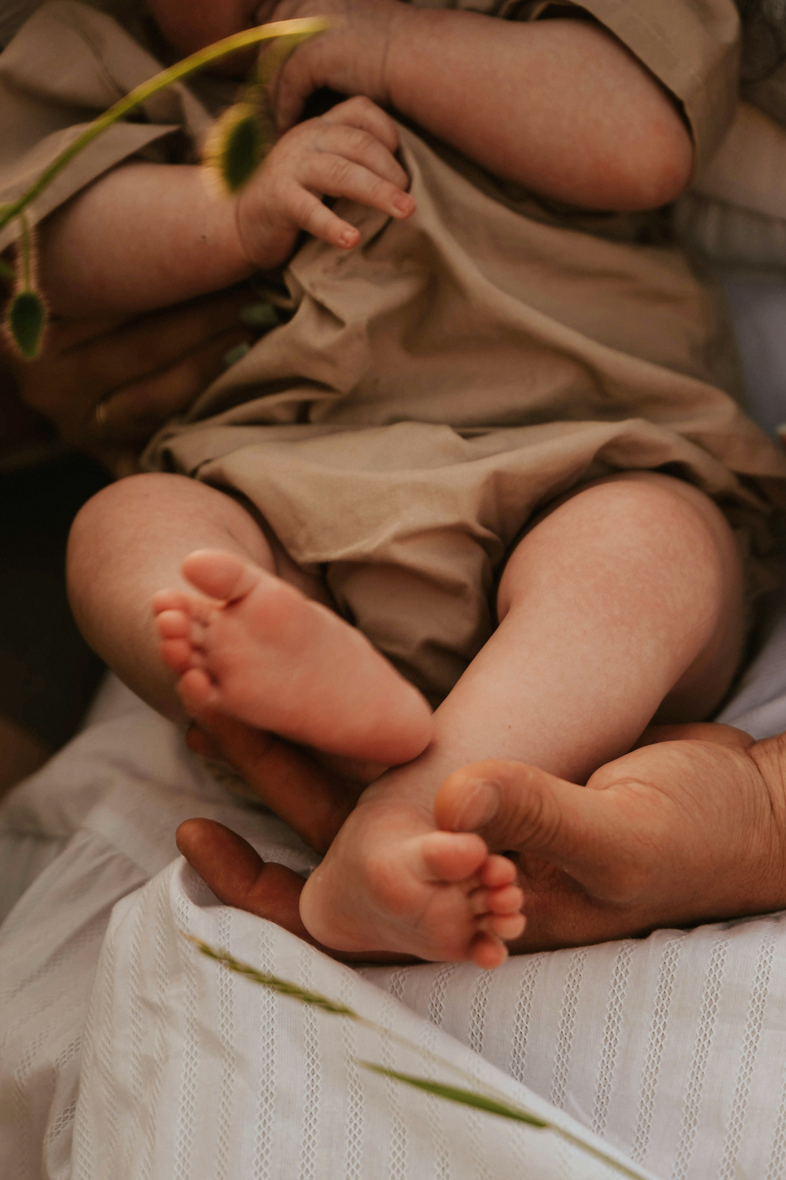 В маках. Татьяна Тагель