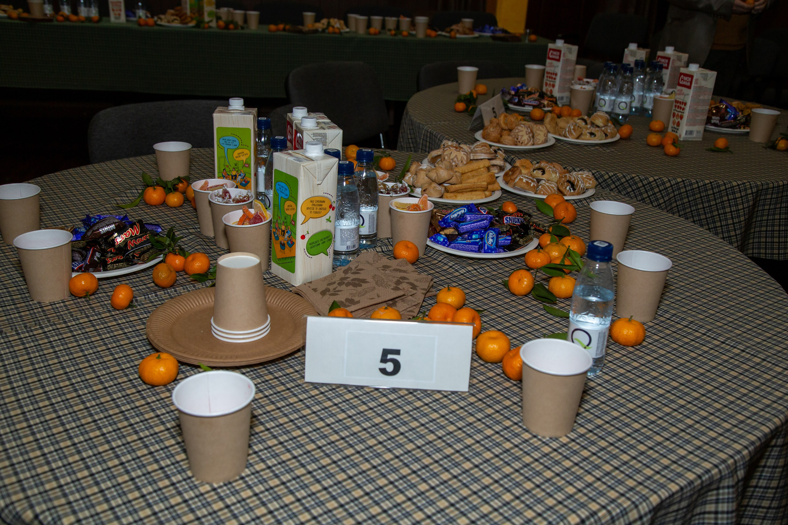 Репортажная съёмка для Домисольки на новый год. «Студия DRONAVT`s» — видеосъёмка и фотография г. Москва