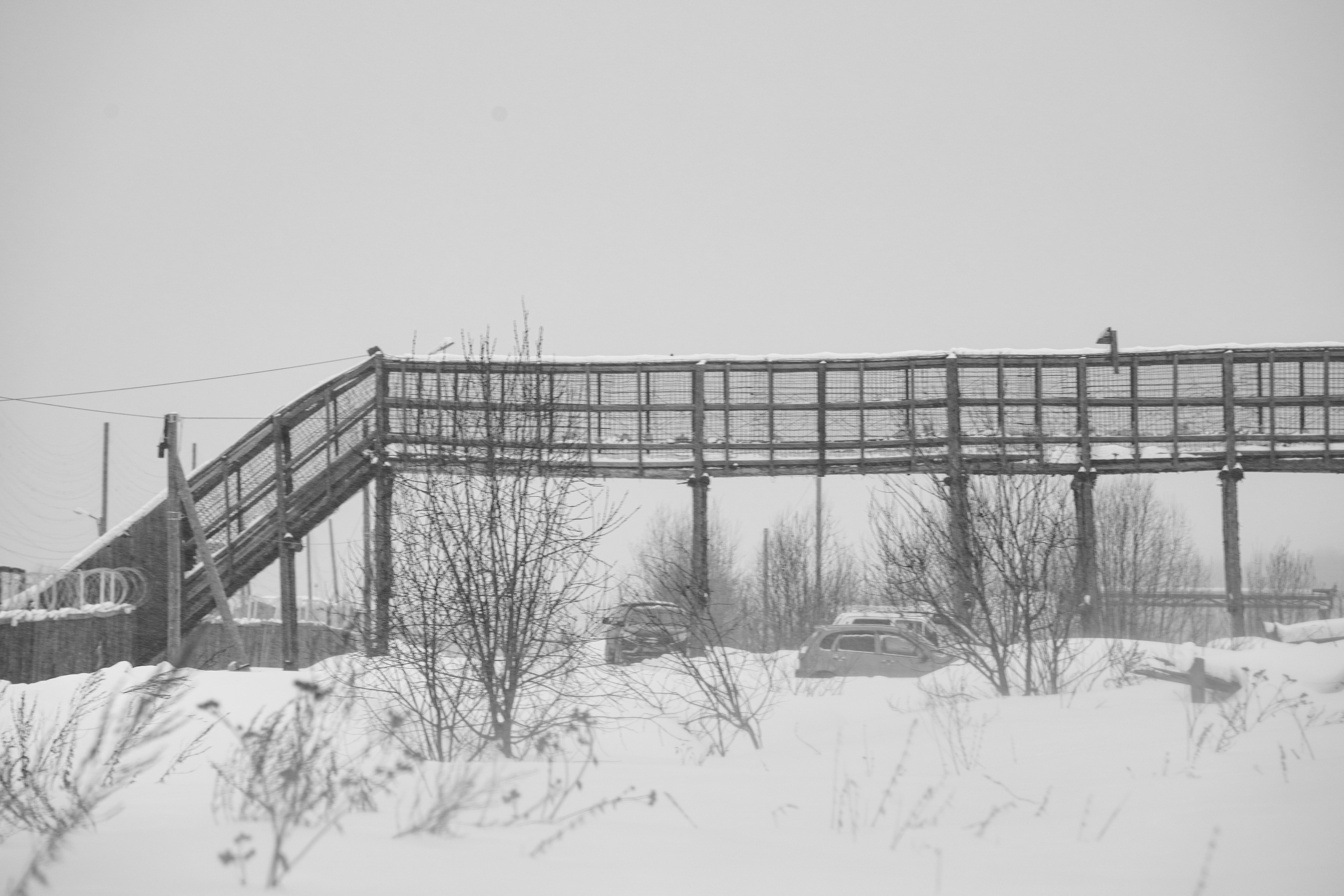 Кировская область, Февраль 2022