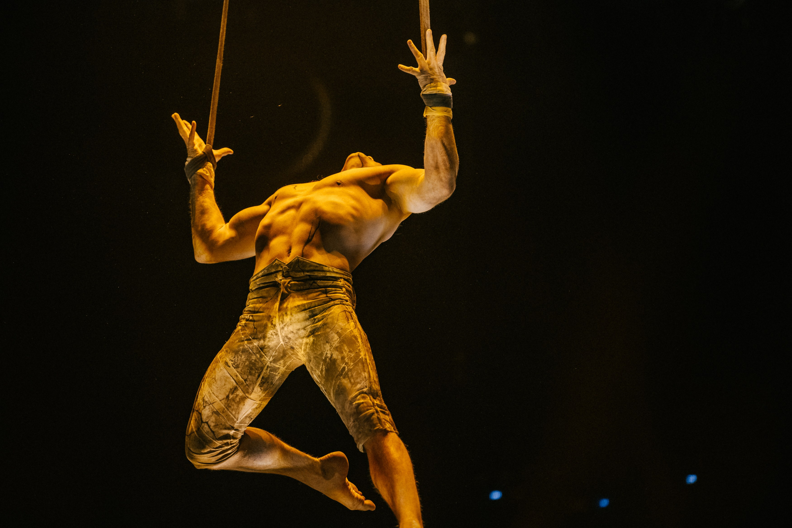 Королевский Цирк Гии Эрадзе. Репортажный и портретный фотограф в Санкт-Петербурге Степлевич Дарья