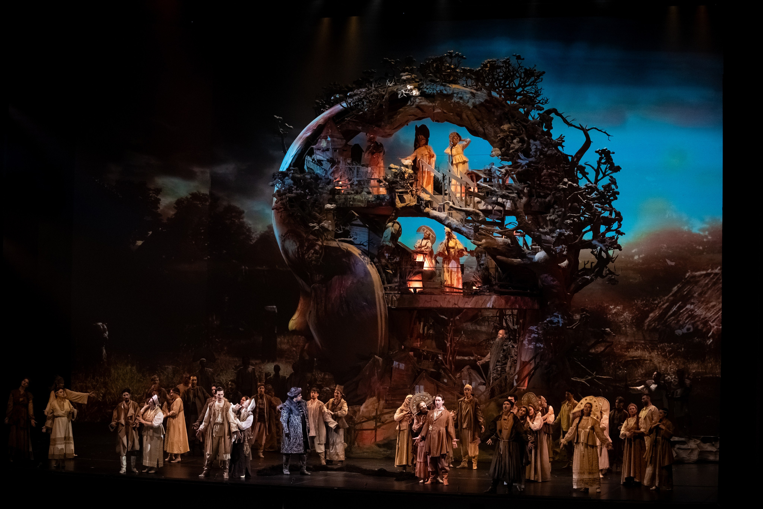 Мандрагора. Фотограф и видеограф Евгений Романов Санкт-Петербург