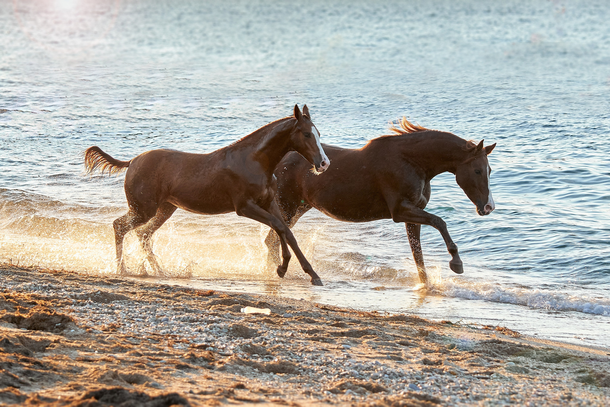 Галактика и Кассиопея. Фотограф в Севастополе