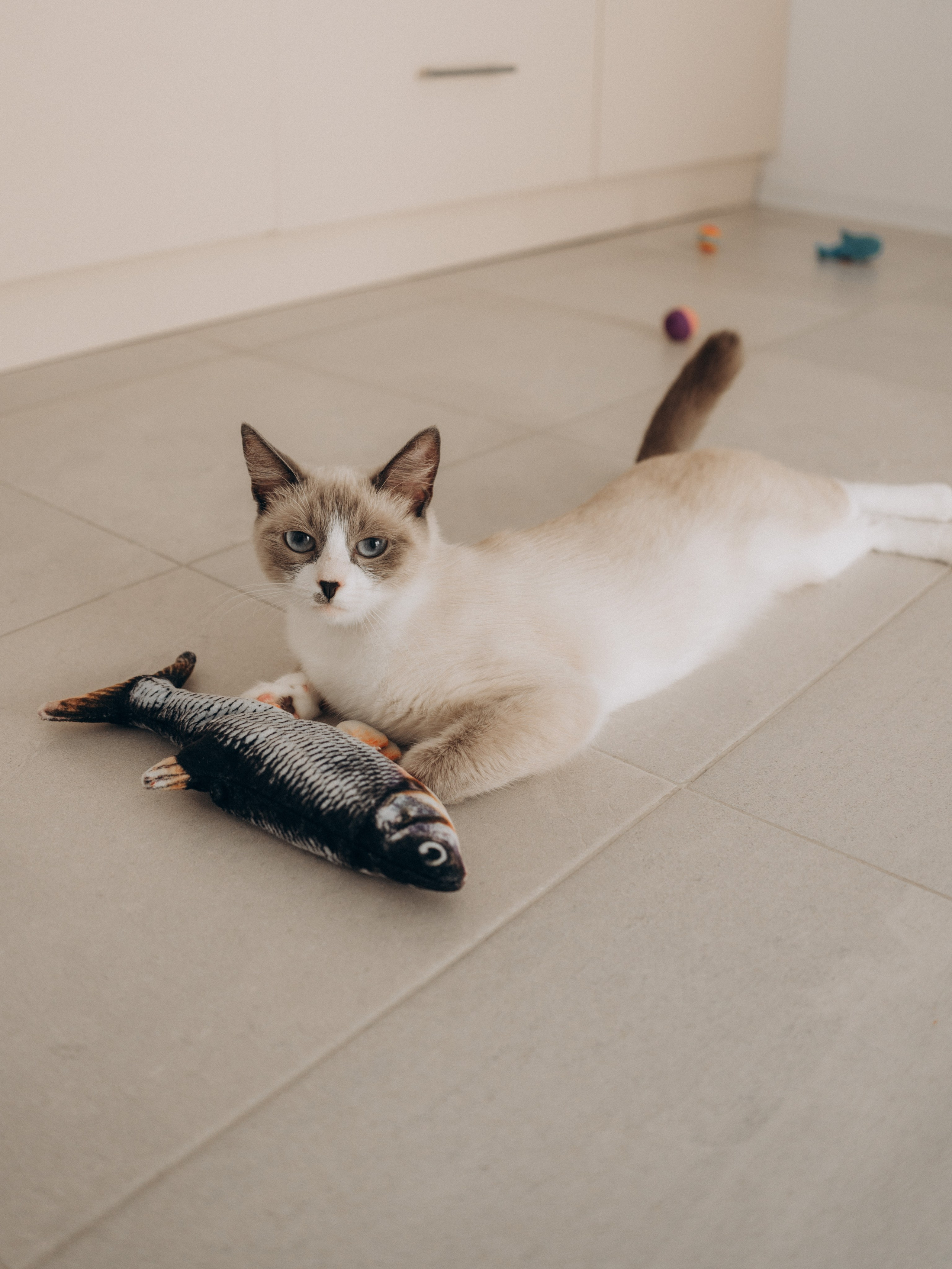 Леша + Алена. Портретный фотограф в Ярославле Юлия Румянцева