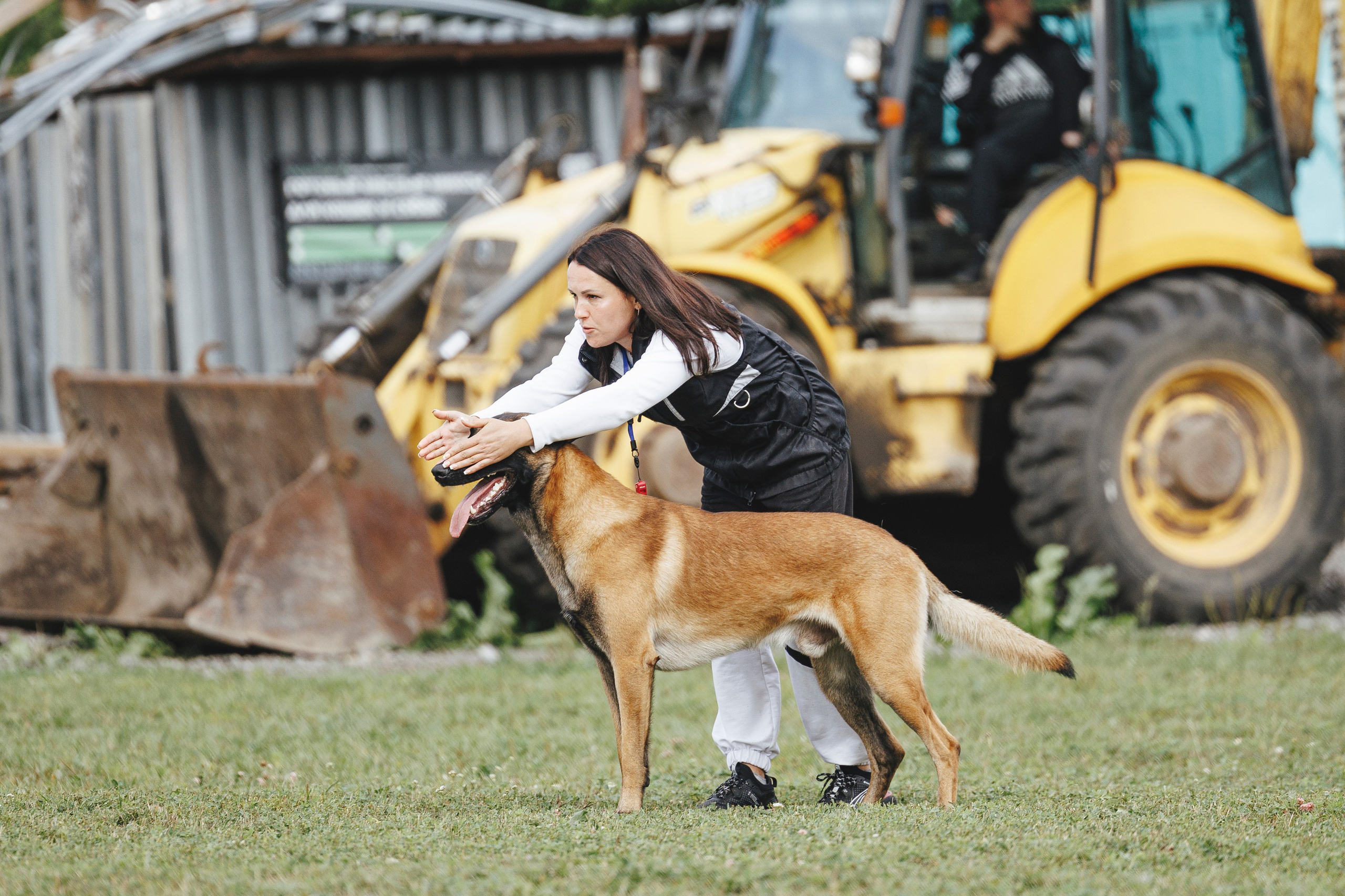 08.08.25-10.08.25 ЧР по мондьорингу г. Вологда. Фотограф-анималист Анна Маринич