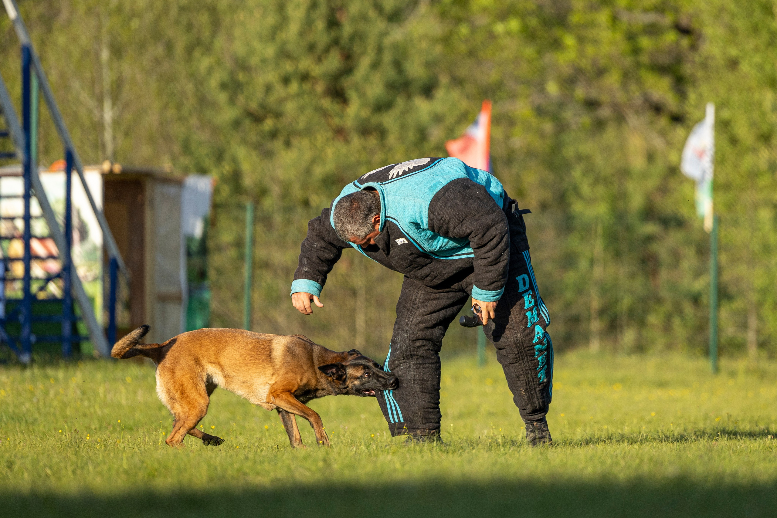 Испытания по мондьорингу в Нижнем Новгороде. Фотограф-анималист Анна Маринич