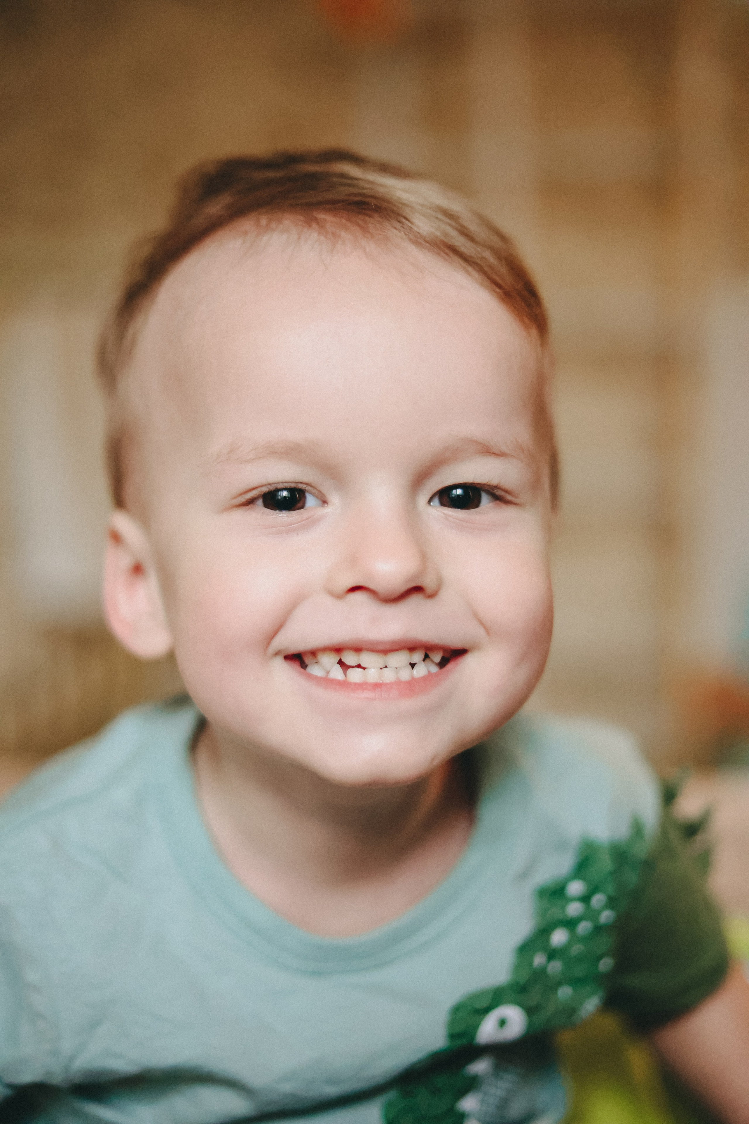 Домашняя история. Meryfotoidea