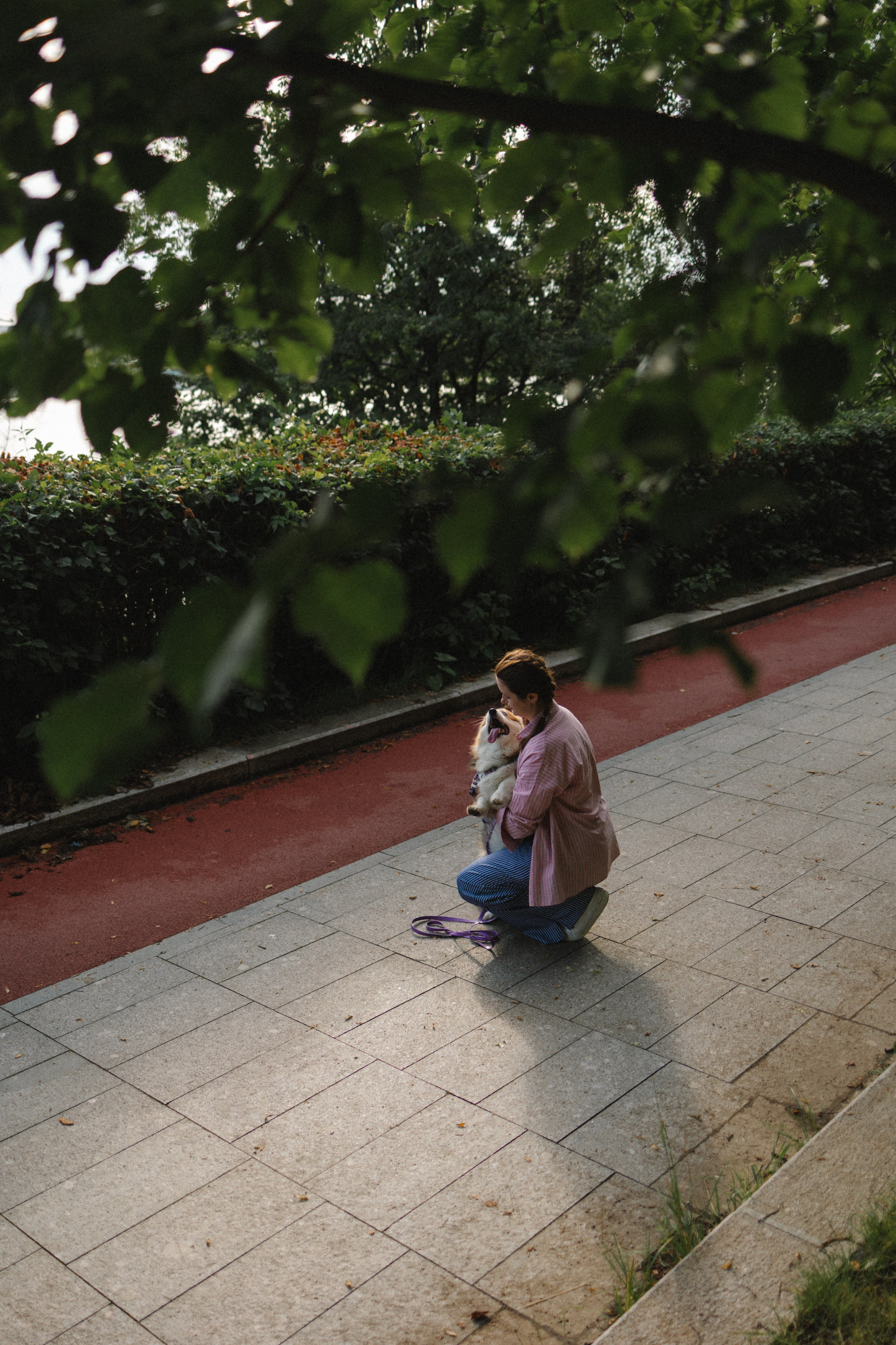 Мишель и Влада. Фотораф — анималист Мария Шистка