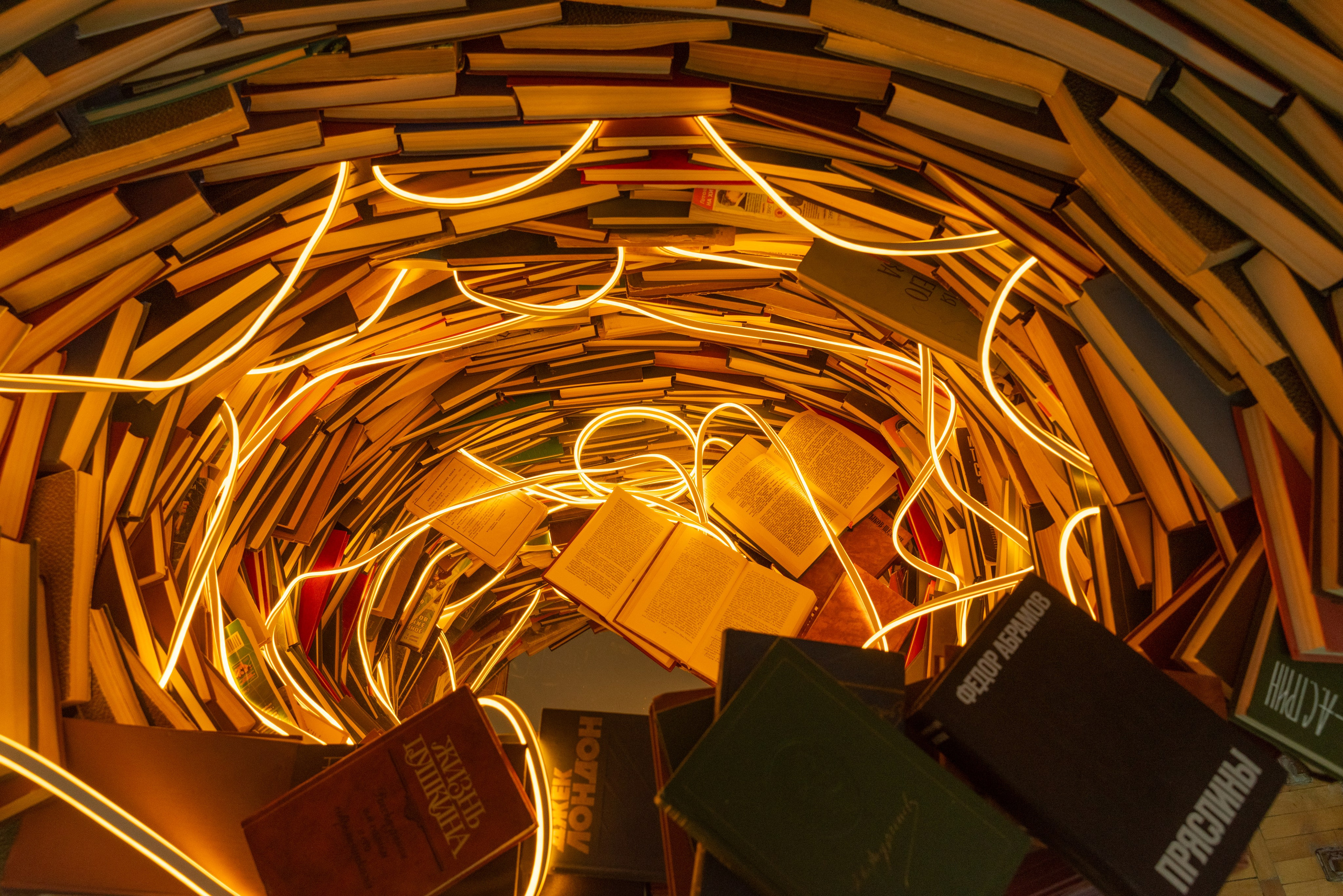 Книжный фестиваль 18.05.2024. Фотограф Алеся Груздо Волгоград