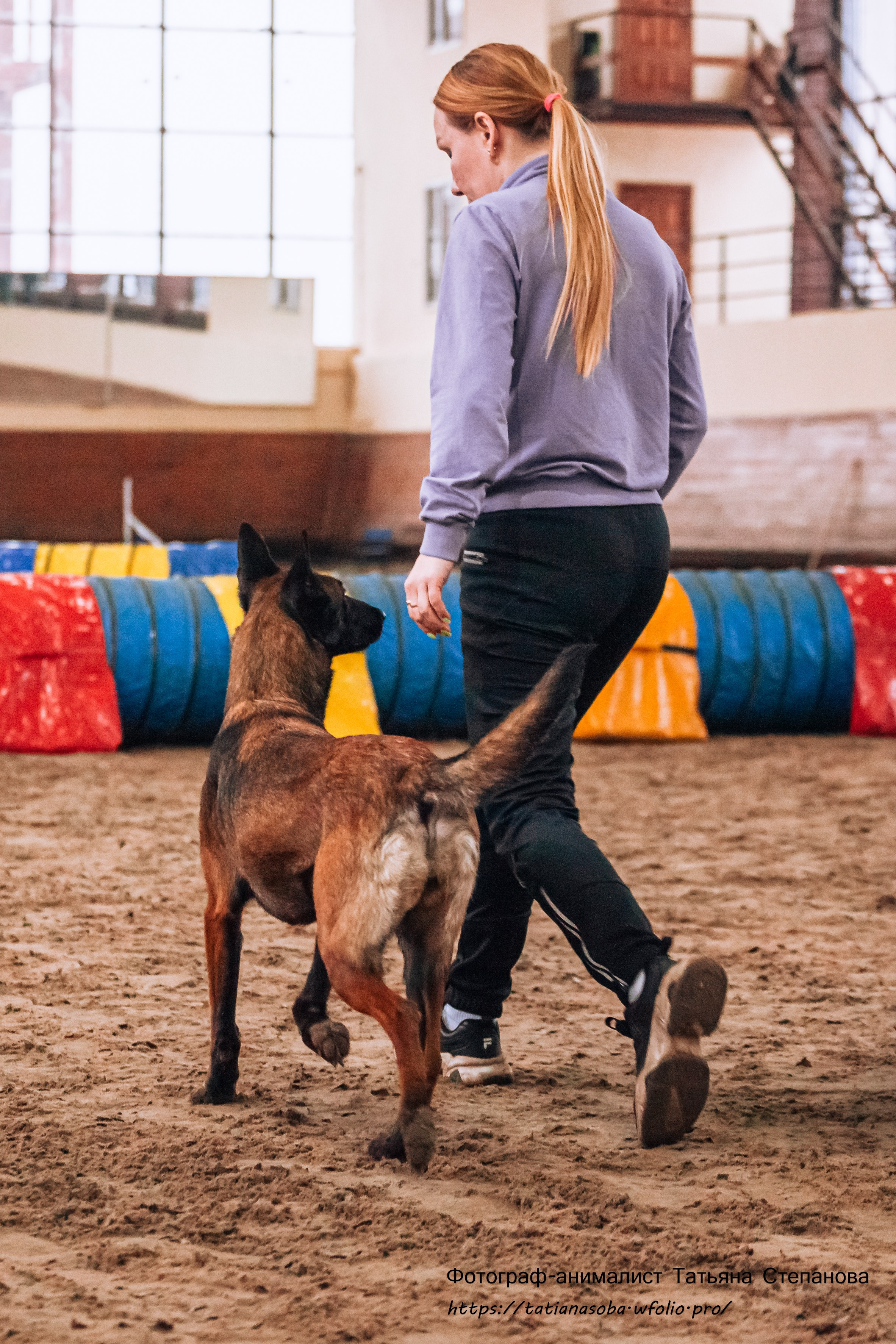 Соревнования по Аджилити 25.02.2024. Фотограф-анималист Татьяна Степанова
